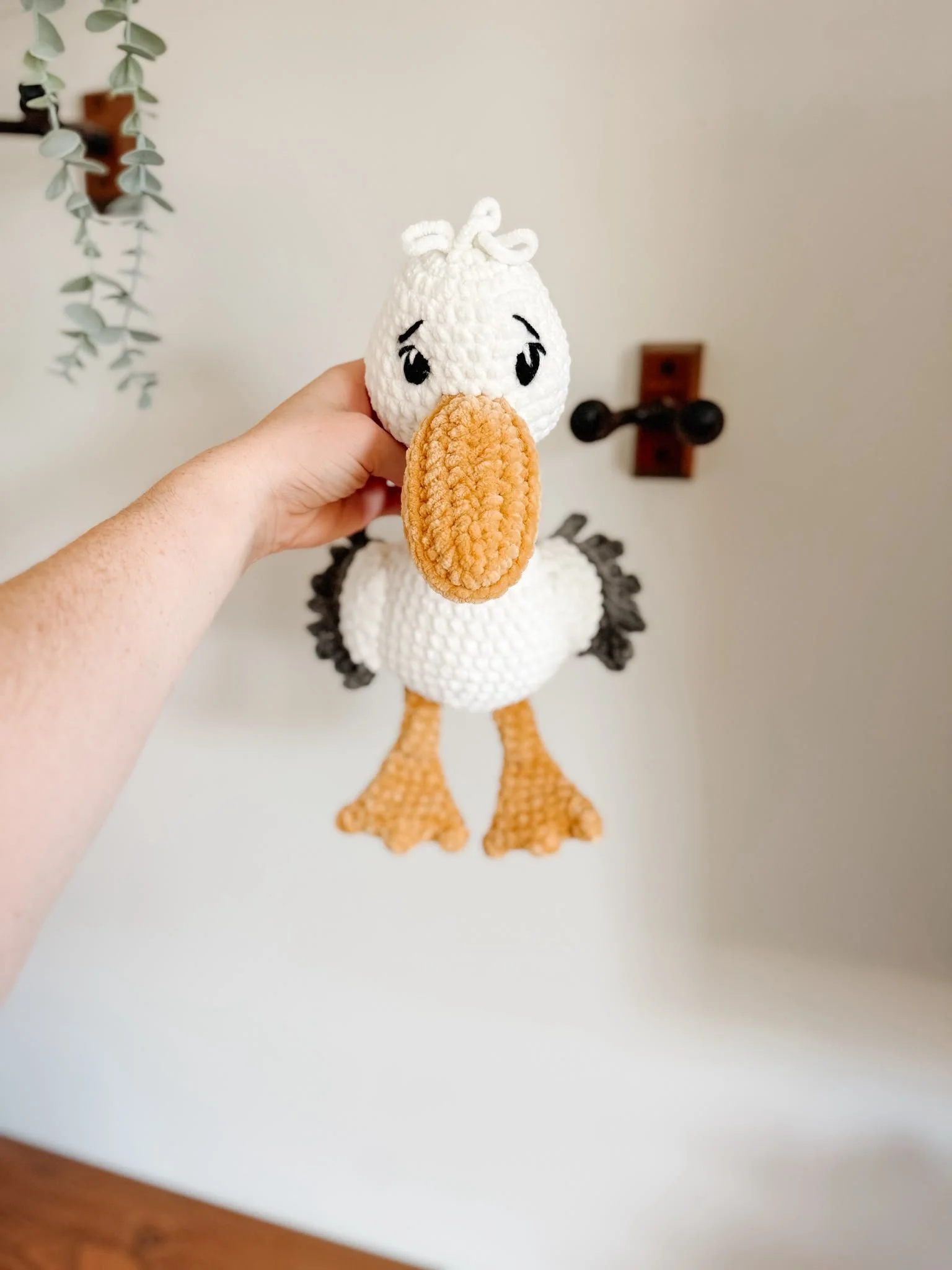 pete_pelican_1.jpeg