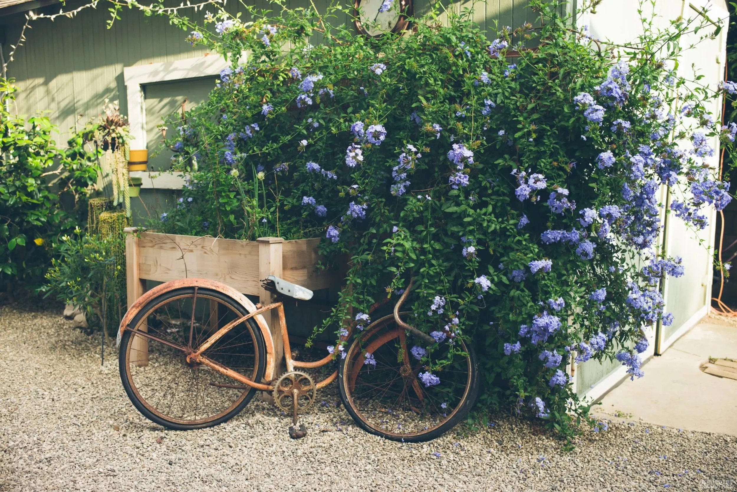 Charming garden space at Provisions venue in Pasadena, California, available for film and TV production rentals