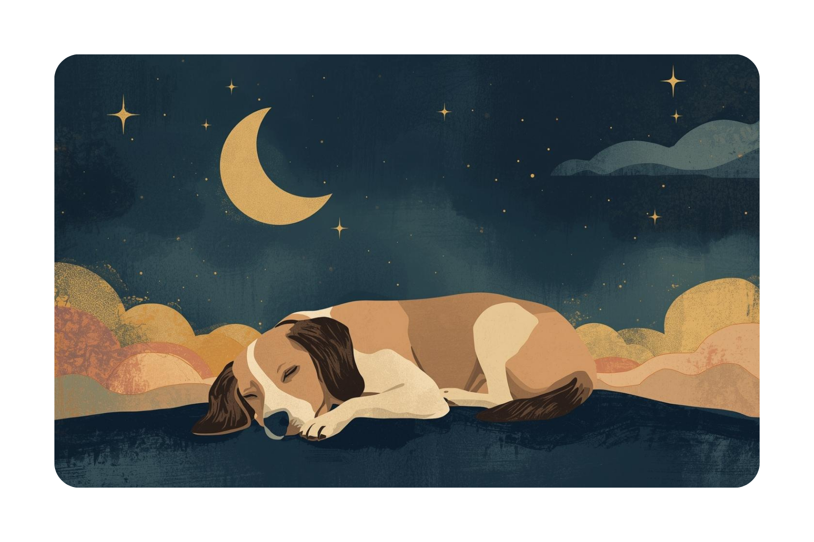 The Cosmic Kennel (Feb 2026)