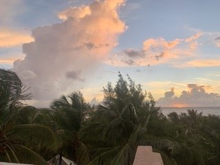 IMG_6027 Small.jpeg
