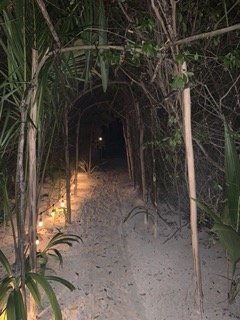 IMG_6056 Small.jpeg