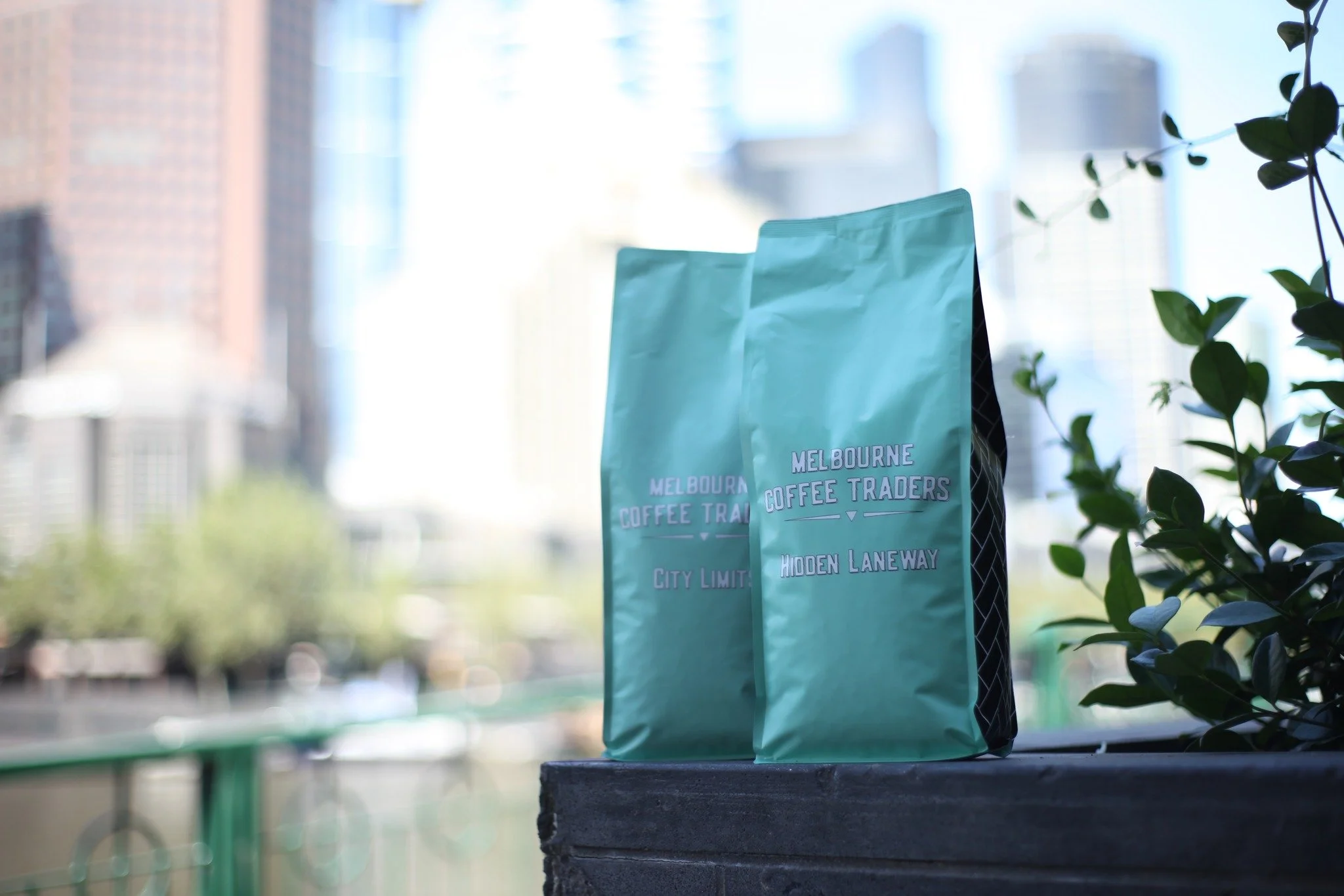 Melbournes trusted coffee

- - -

#coffee #coffeeshop #coffeetime #coffeetraders #MELBOURNECOFFEETRADERs #coffeemelbourne #melbournecoffeeshop