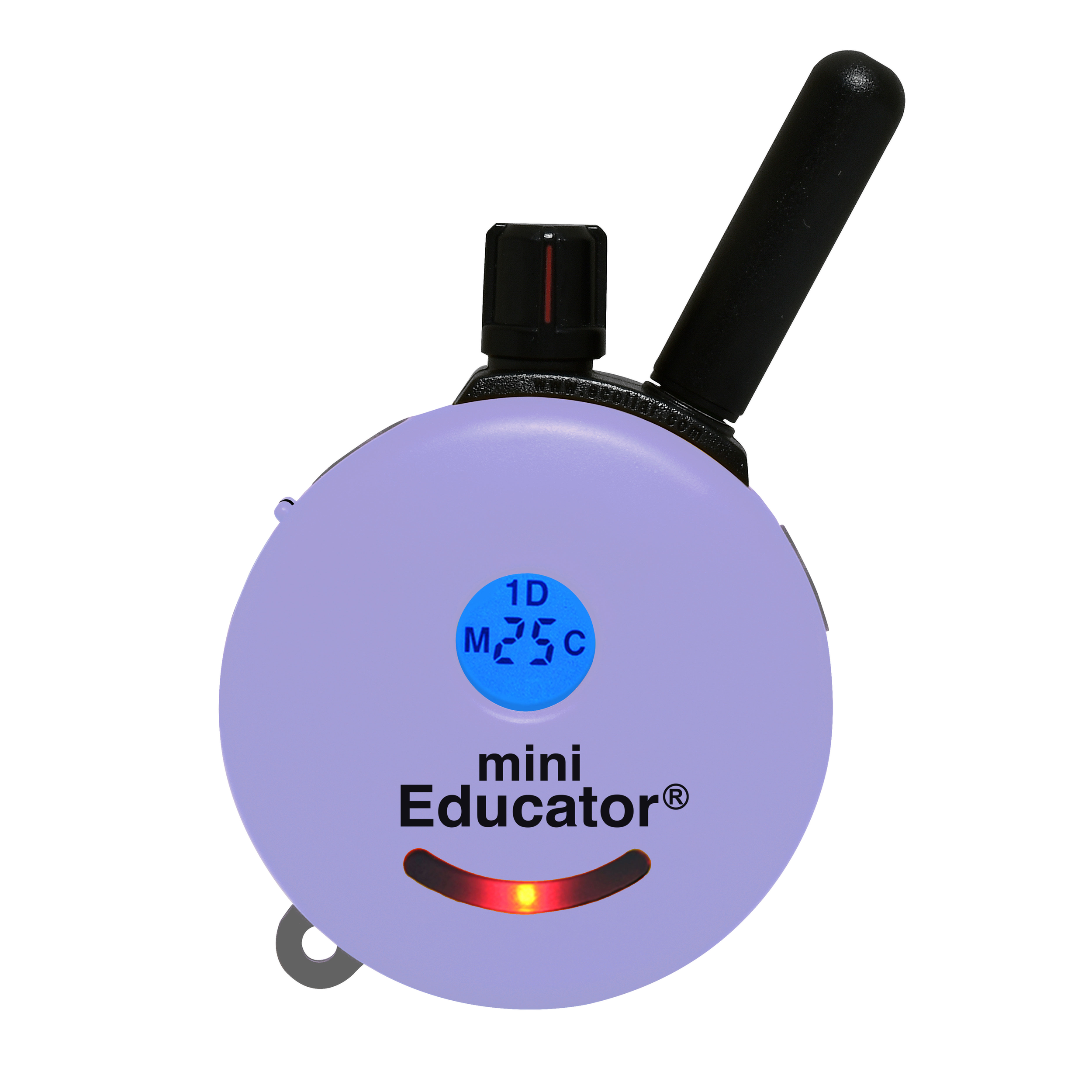 image_2026-08-21_171221691.png