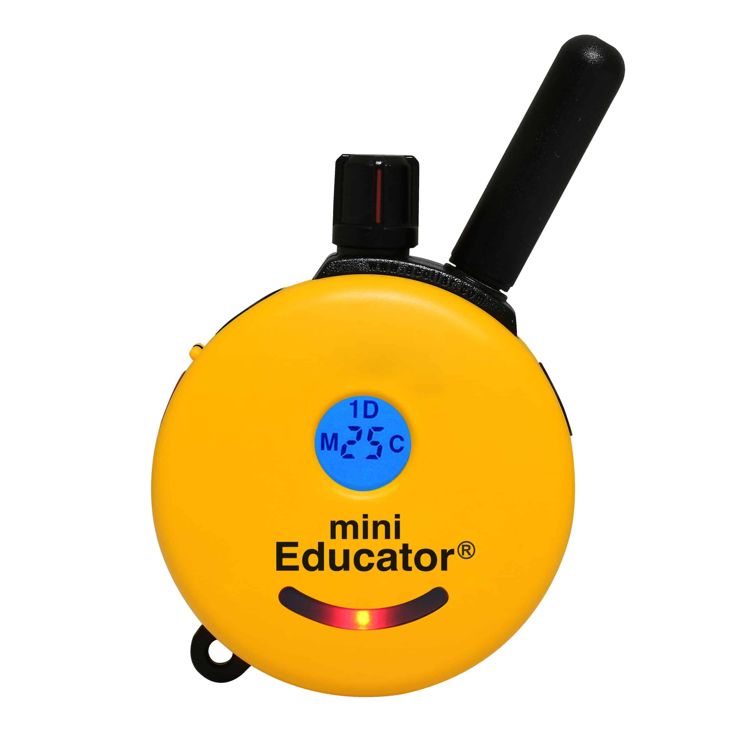 image_2026-08-21_171513756.png