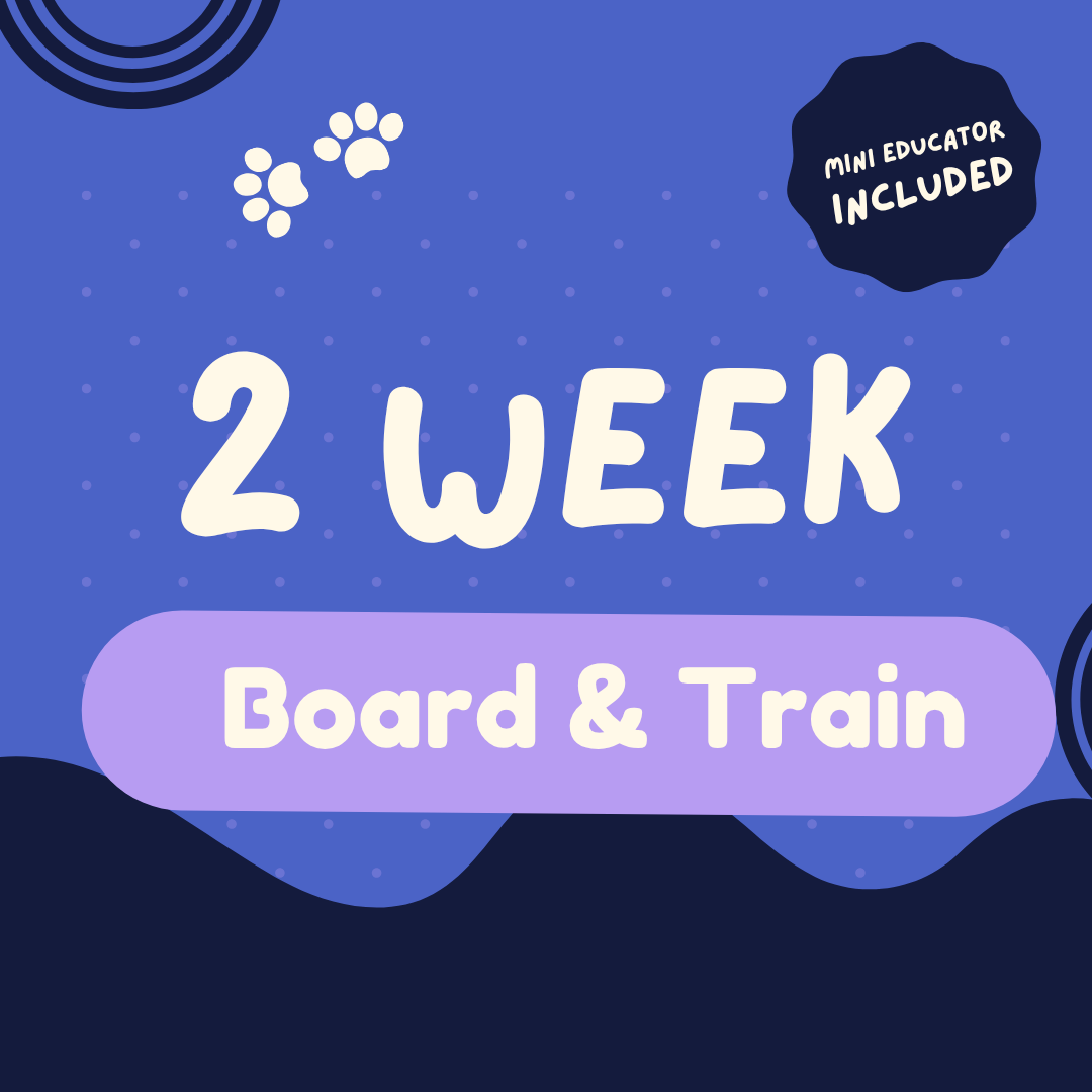 Booard and train.png