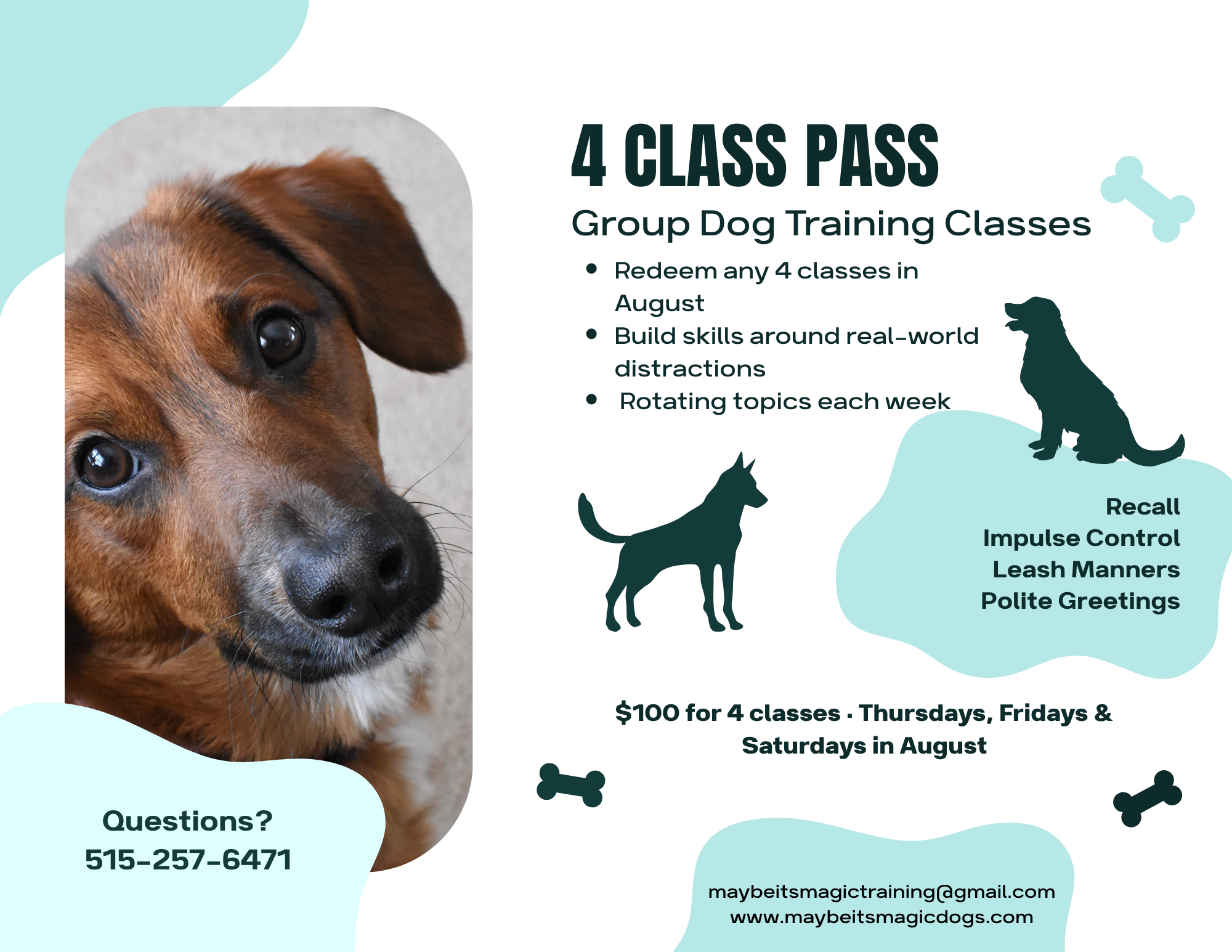 Blue And Green Modern Illustrated Professional Dog Training Services Flyer.png
