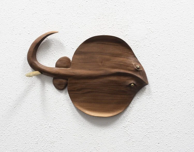 Sting Ray #1