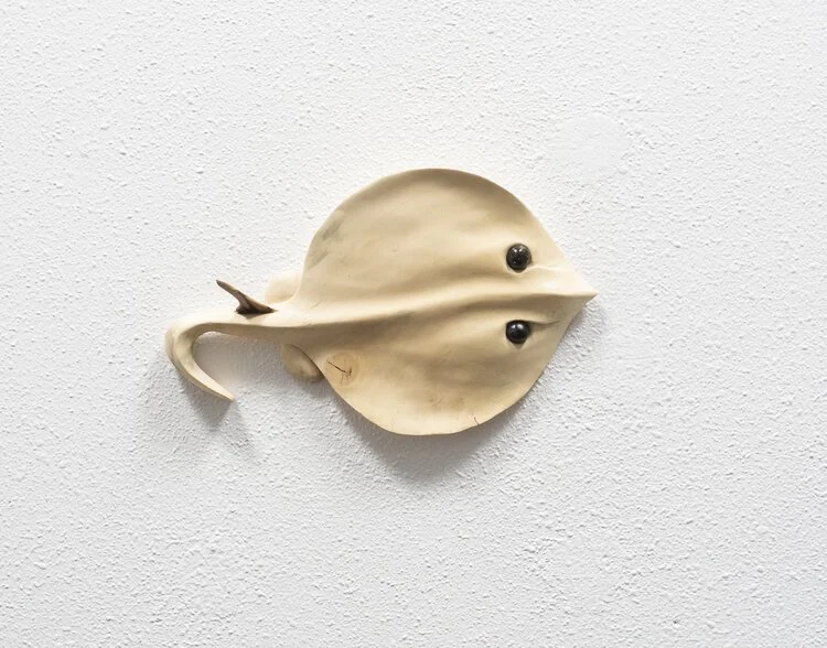 Sting Ray #3
