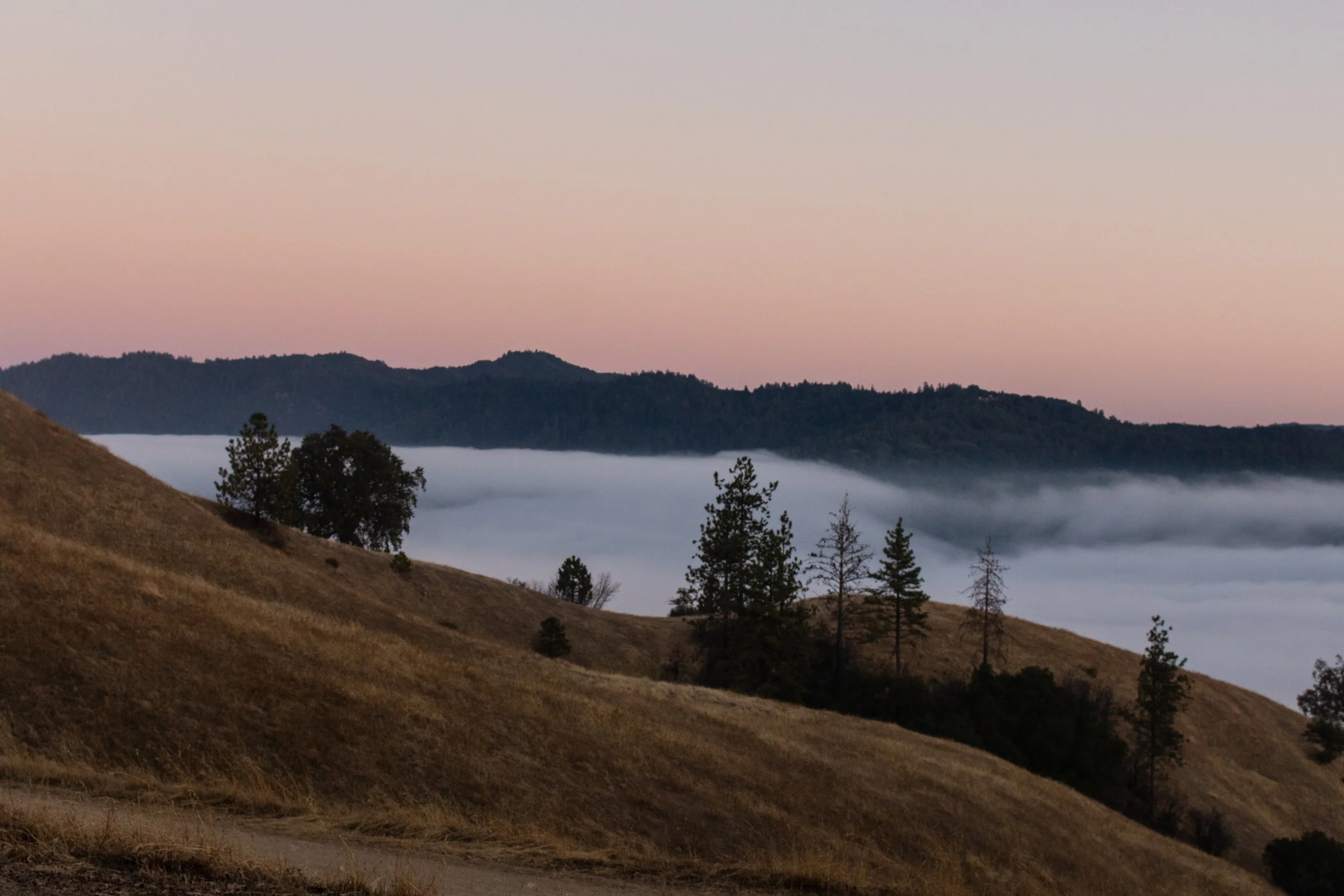 BigSur-33.jpg