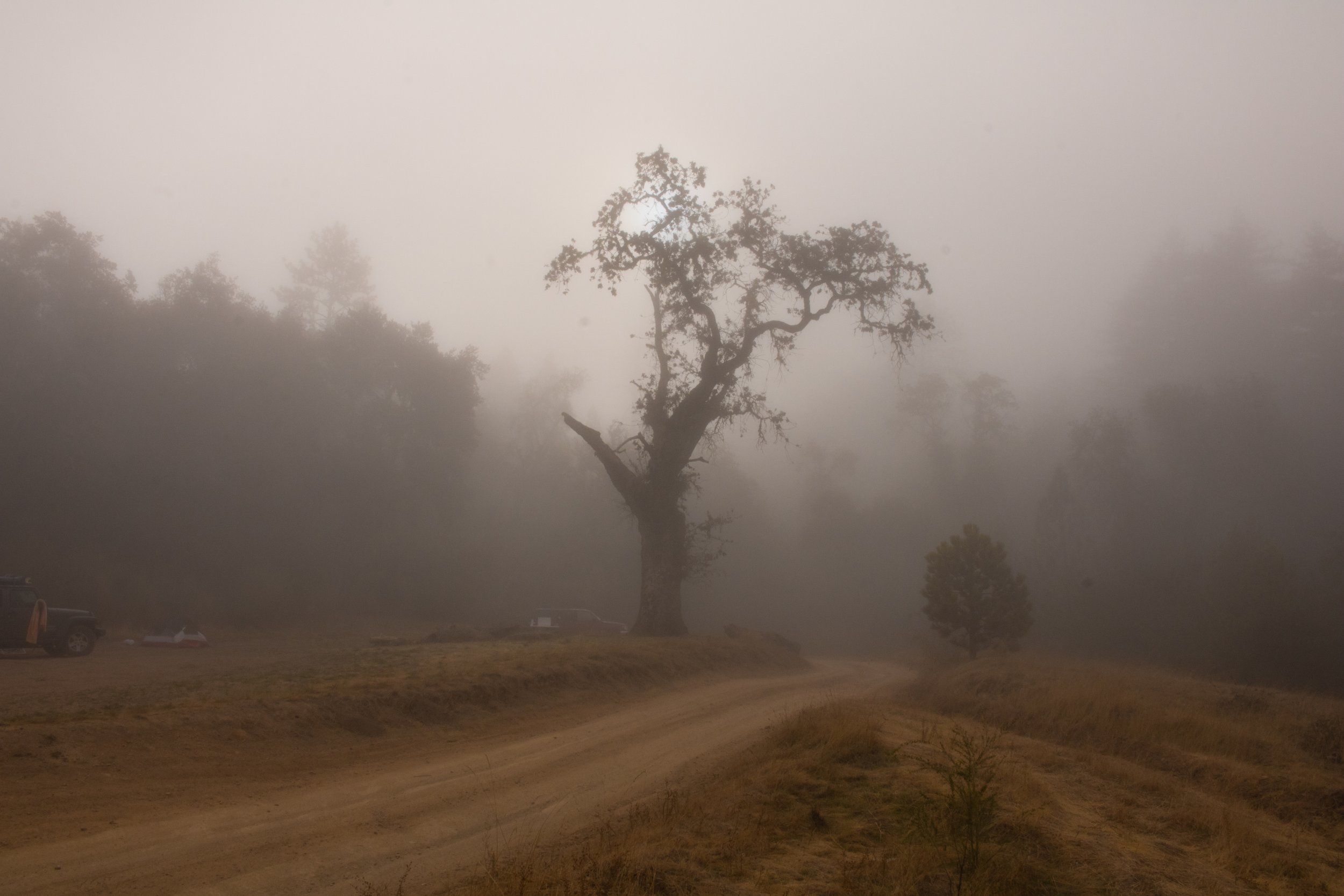 BigSur-08.jpg