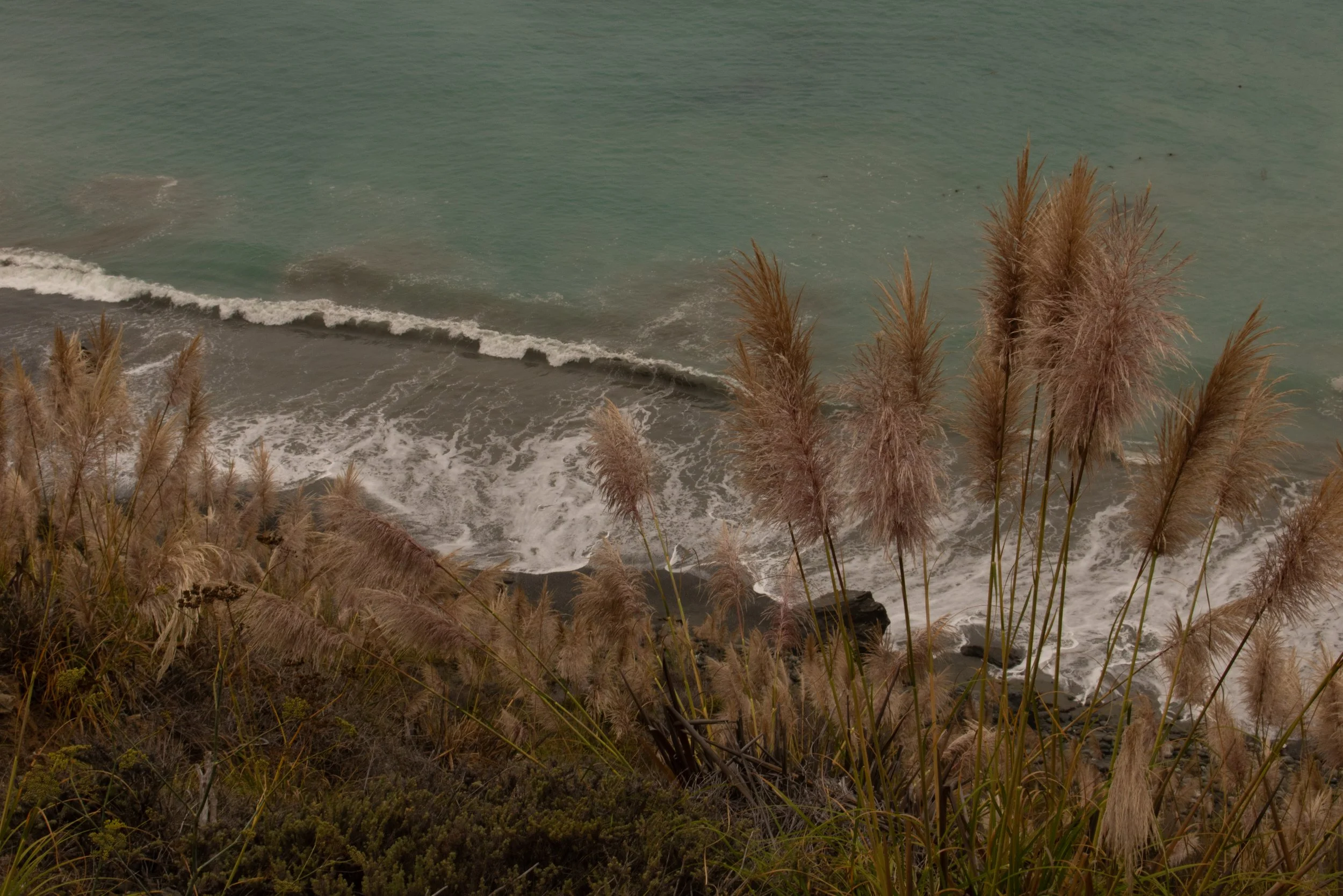 BigSur-24.jpg