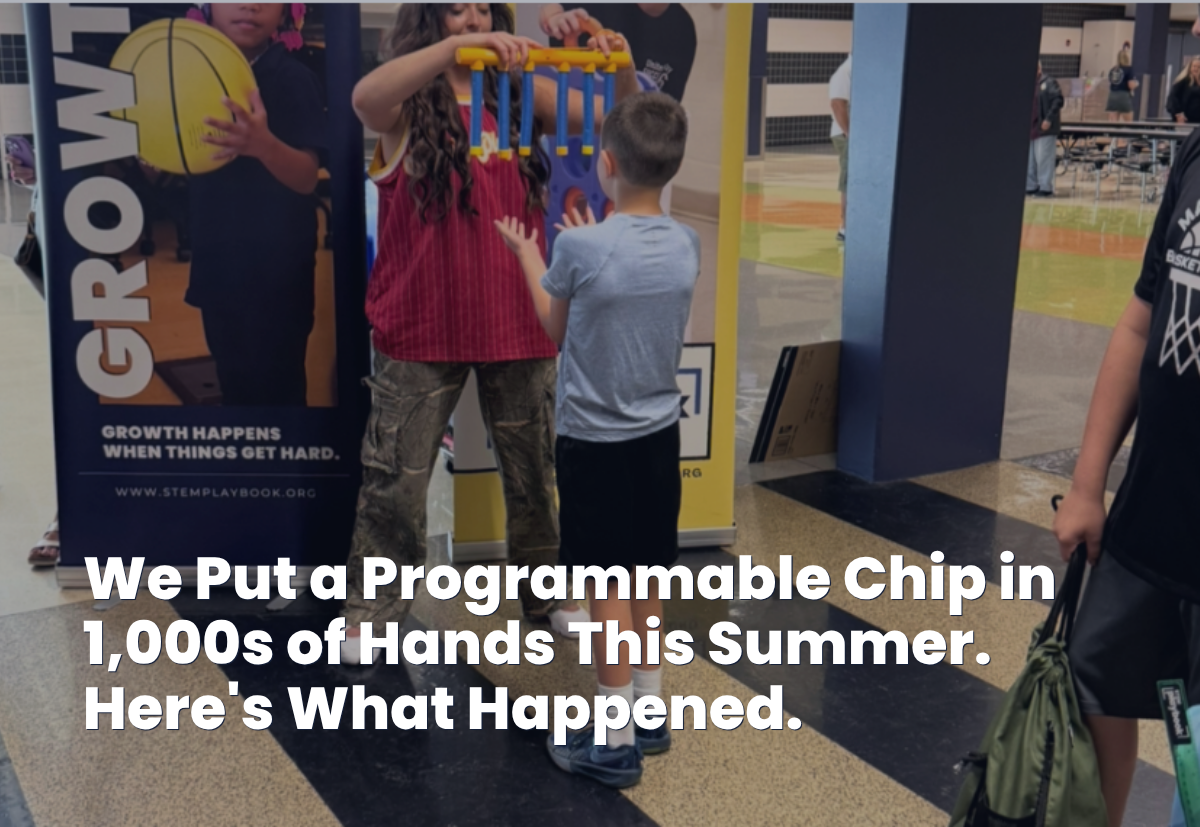 Tiny Chips...Big Possibilities