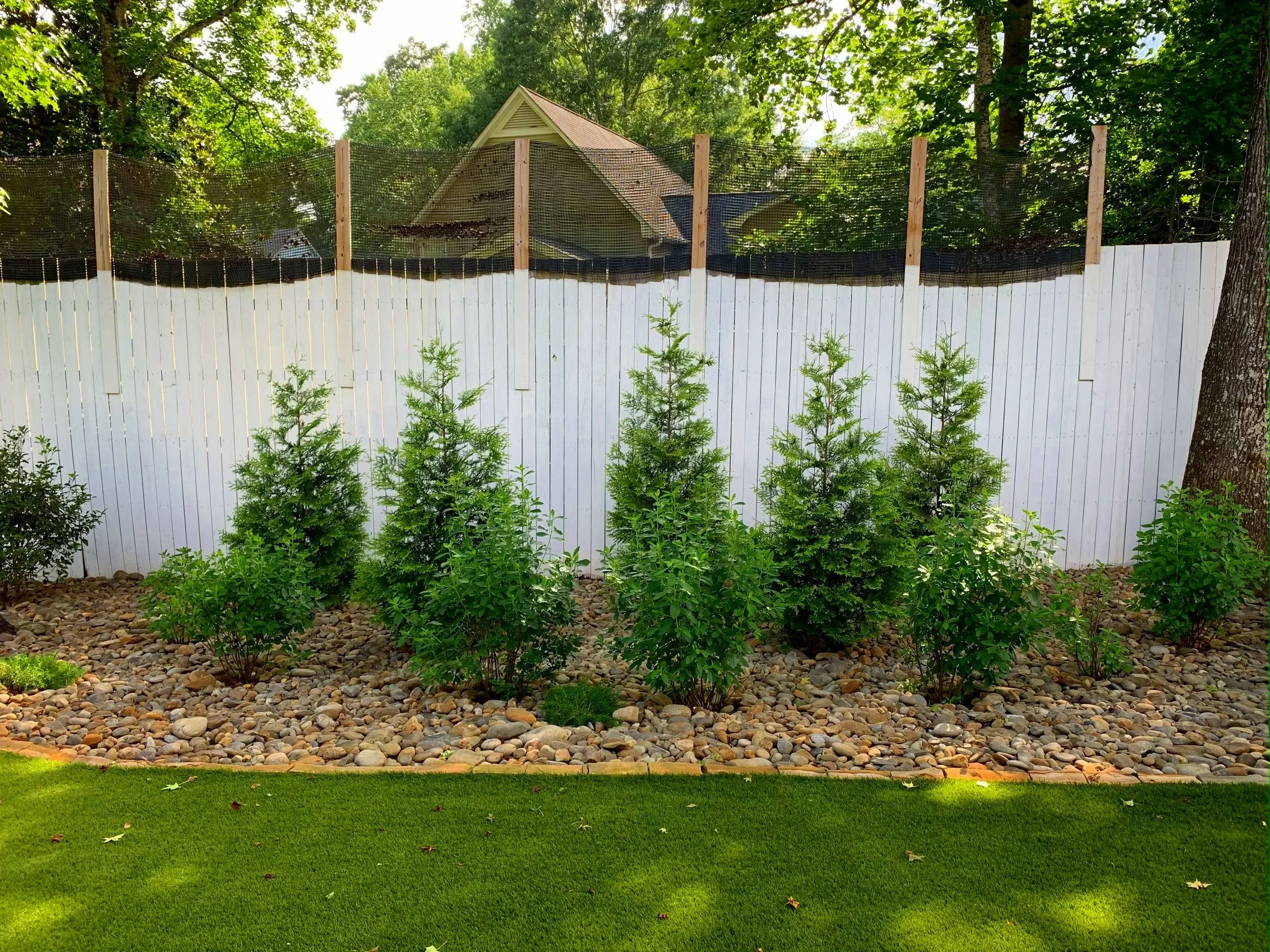 The emerging plantings emphasize the thoughtful composition and spacing of the design, establishing both visual harmony and effective screening.