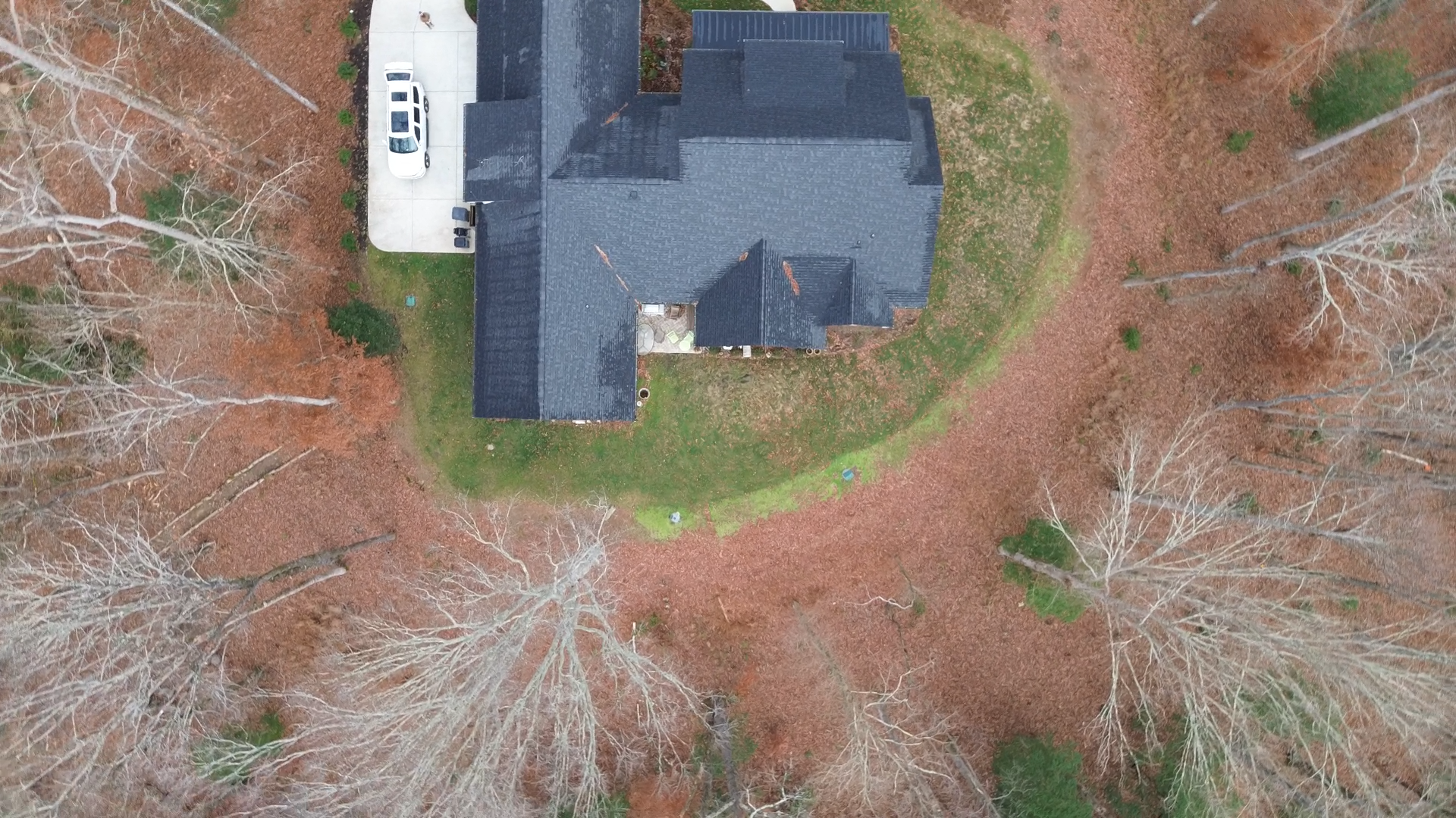 The property was defined by a beautiful wooded backdrop, steep rear slopes, and large areas of turf. The opportunity was to transform an underutilized lawn into a landscape experience that felt integrated with the surrounding forest.