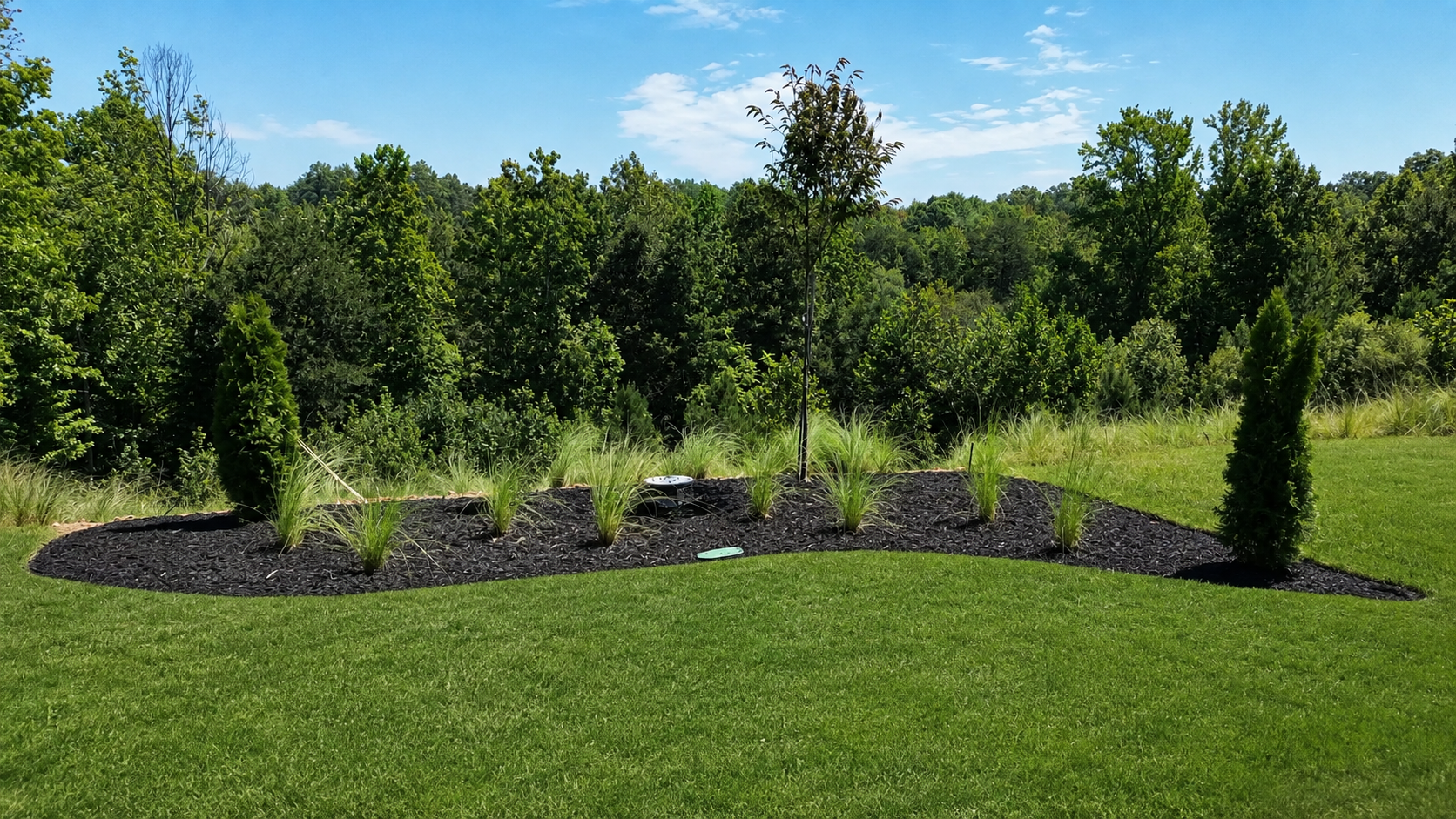From the paver terrace, carefully placed planting frames the woodland beyond—preserving the long view while giving the garden structure, depth, and a stronger sense of place.