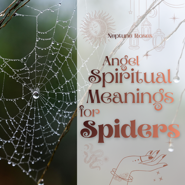 Angel Spiritual Meaning of Spiders