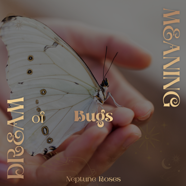 To Dream of Bugs