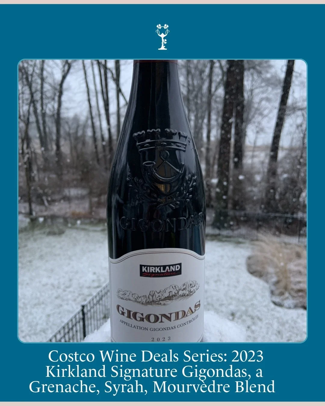 The Cultured Somm is expanding our bargain wine recommendations series from just Trader Joe&rsquo;s wines to also include Costco finds! We&rsquo;re starting with a truly wonderful, excellent value red from the Southern Rh&ocirc;ne Valley for $14.99, 