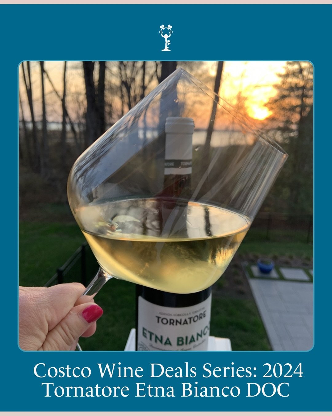 This Wine Wednesday I want to highlight another incredible Costco Wine discovery straight from the slopes &amp; volcanic soils of Sicily&rsquo;s Mt. Etna. Those who have heard me wax poetic about my love of Sicilian wines - both red &amp; white - wil