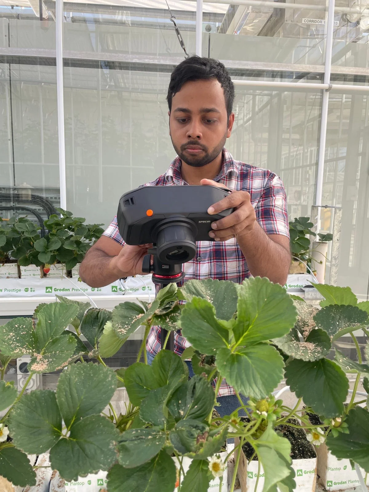 ARC Training Centre for Smart & Sustainable Horticulture