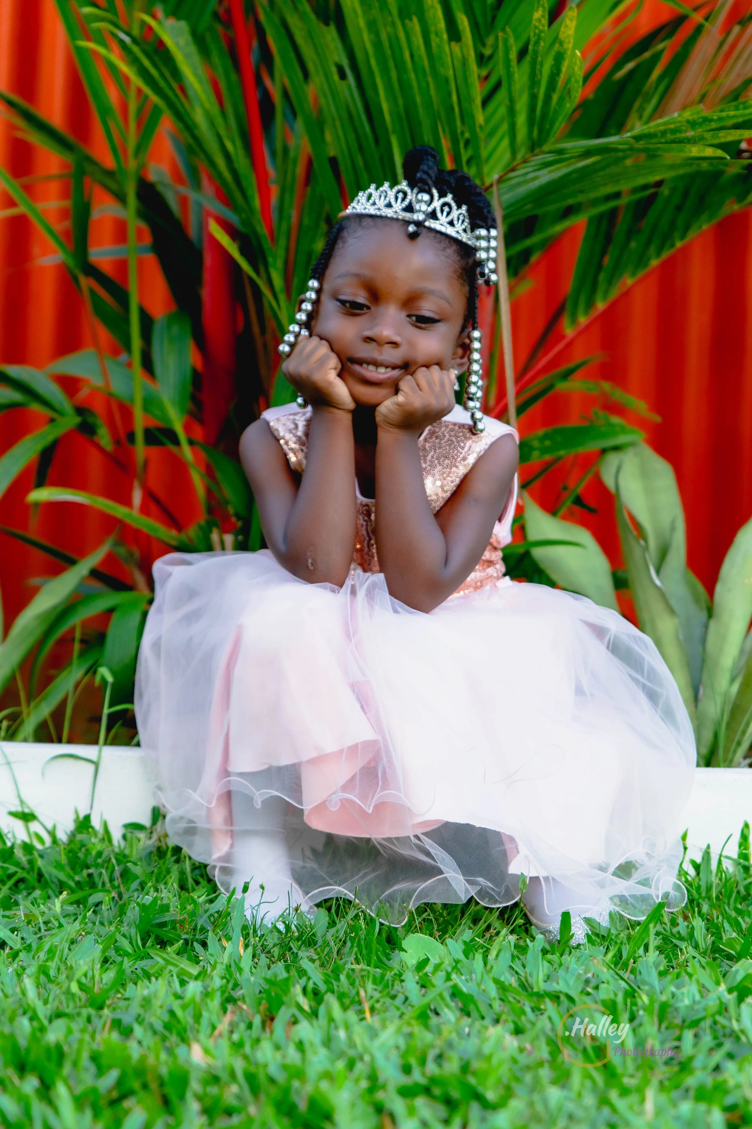 D75_8127.jpg