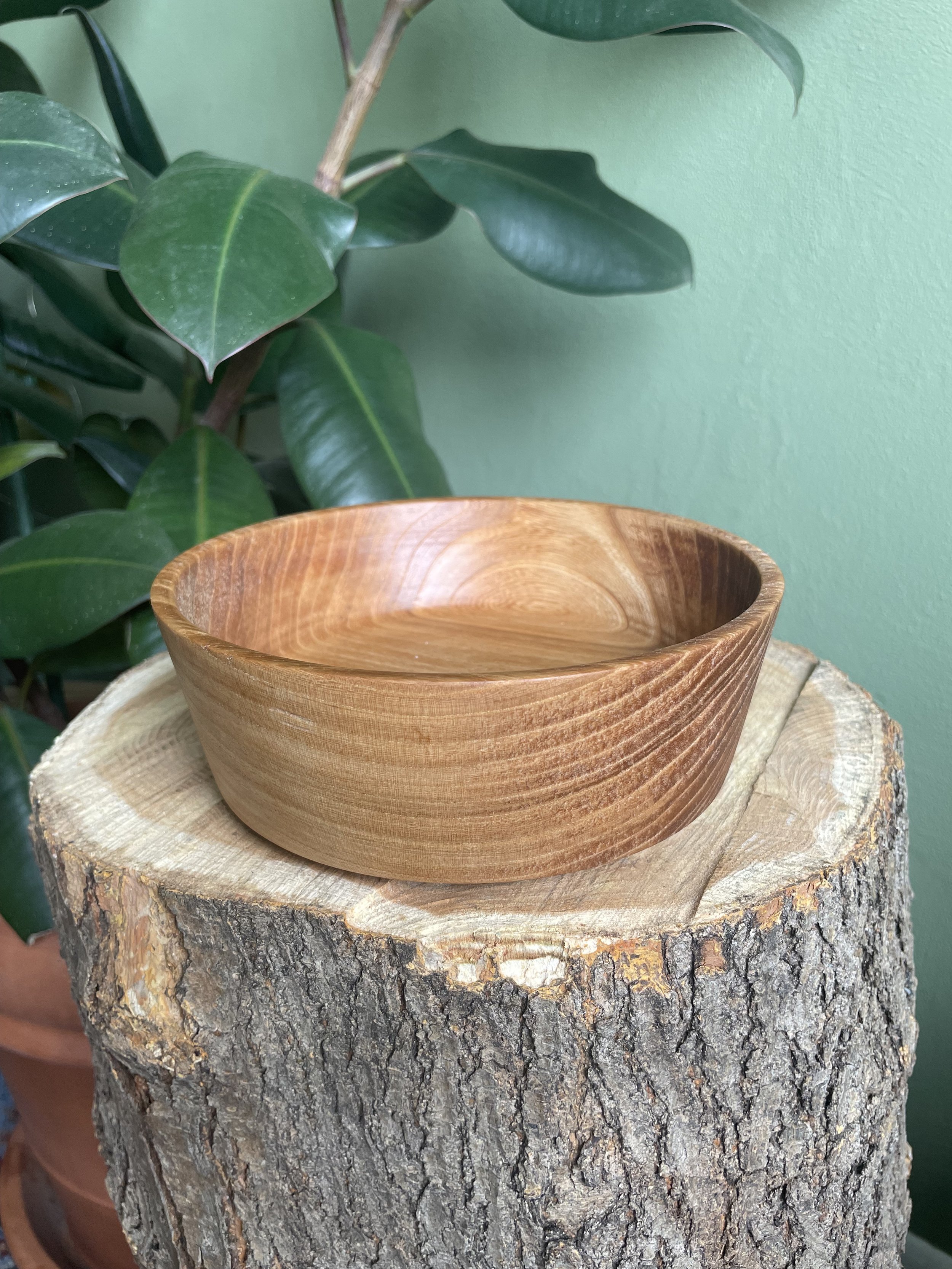 Medium Elm Bowl