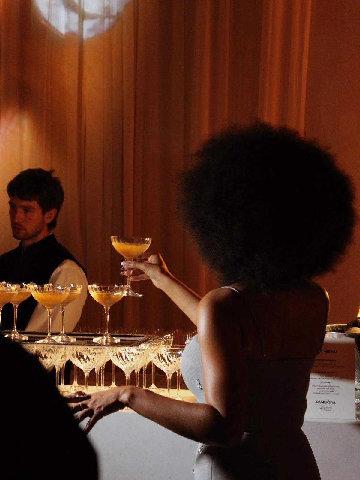 Luxury diners