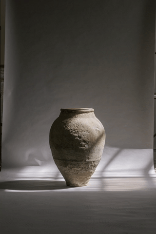 lilymust_httpss.mj.runVOjih2ntNO0_create_an_isolated_on_a_whi_10179368-186c-403b-a431-384ea8a652aa_1.gif (Copy)