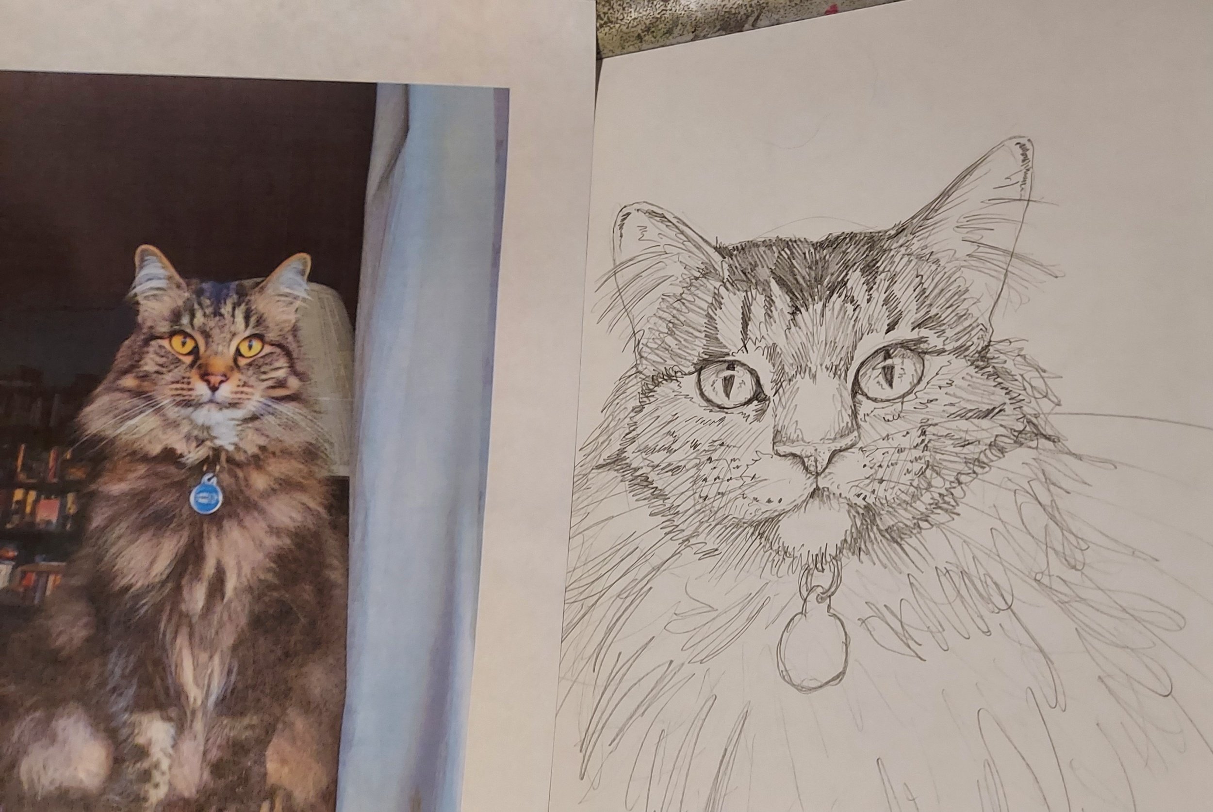 Cat for "Poorly Drawn Pets" hosted by WAIF (pencil 2024)