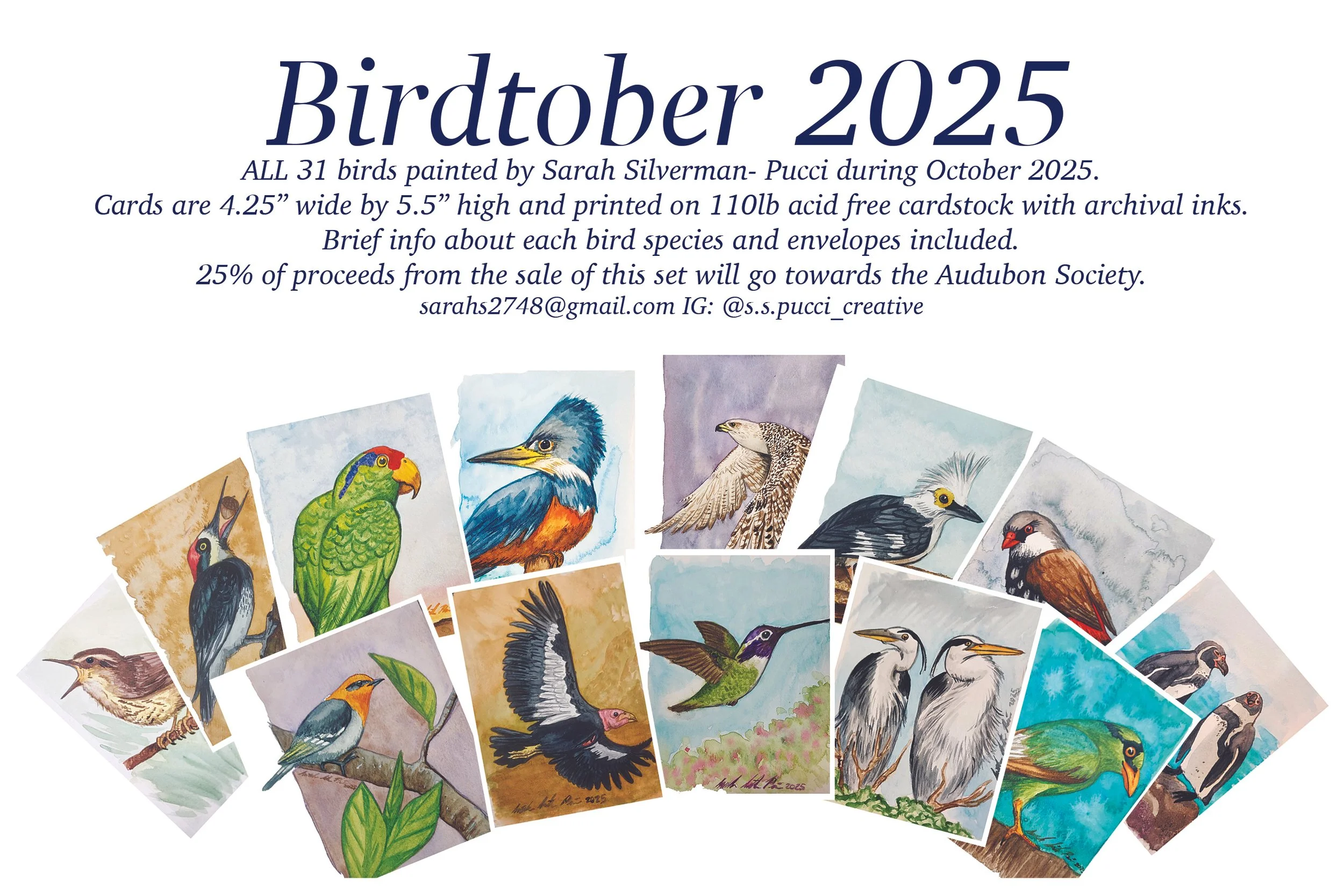 Bird Box 2025 (box of 31 different bird cards)