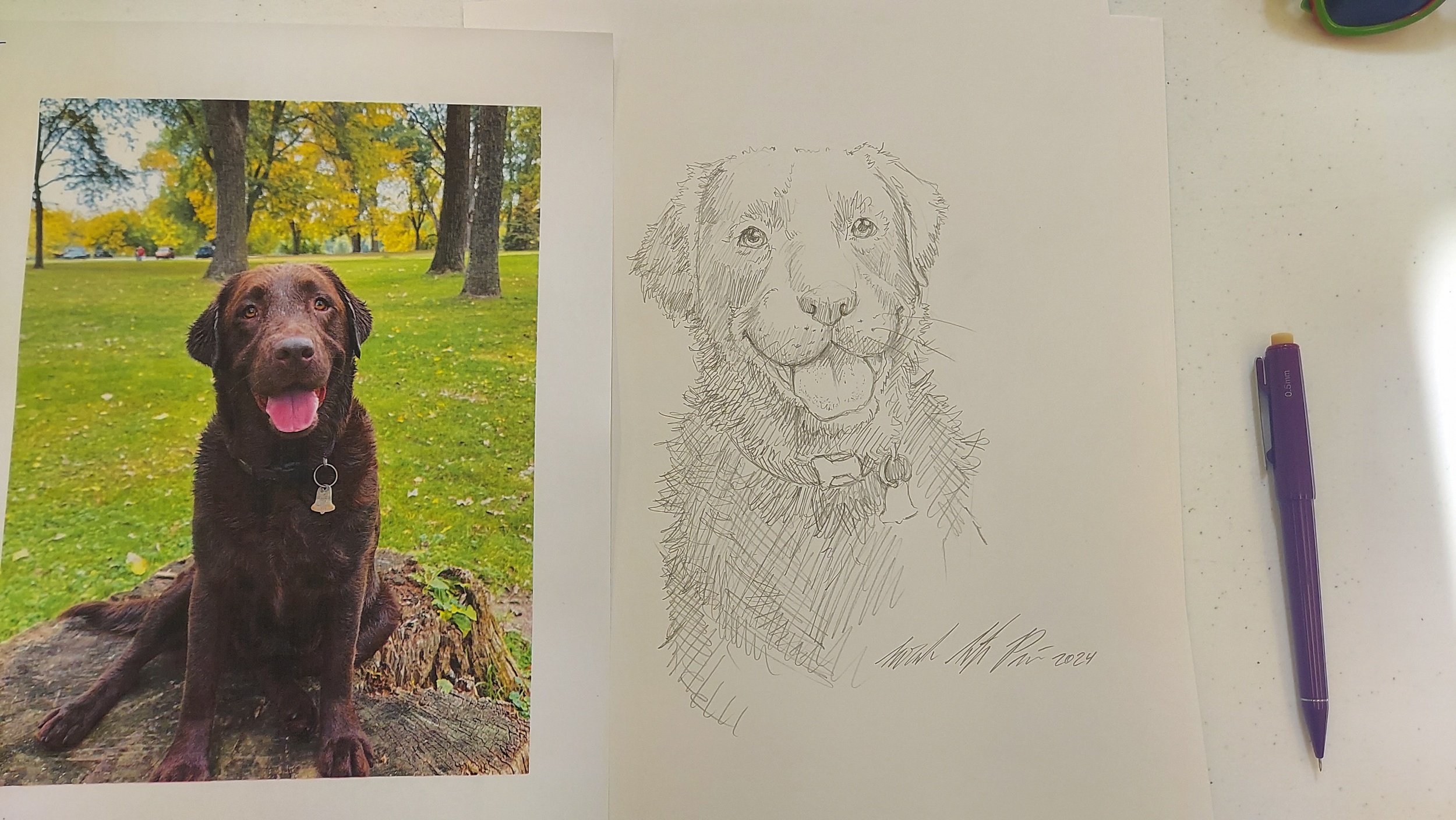 Dog for "Poorly Drawn Pets" hosted by WAIF (pencil 2024)