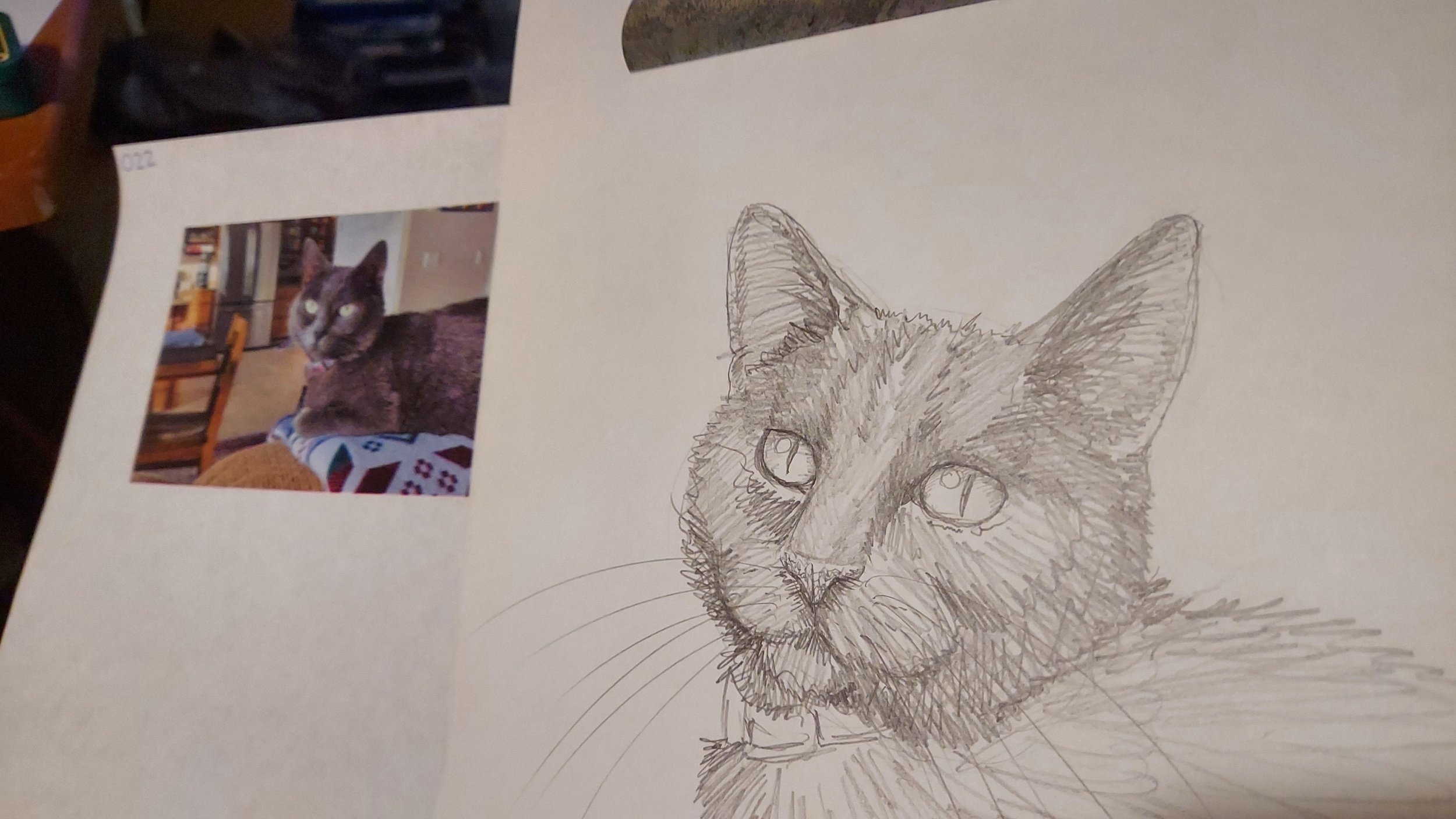 Cat for "Poorly Drawn Pets" hosted by WAIF (pencil 2024)