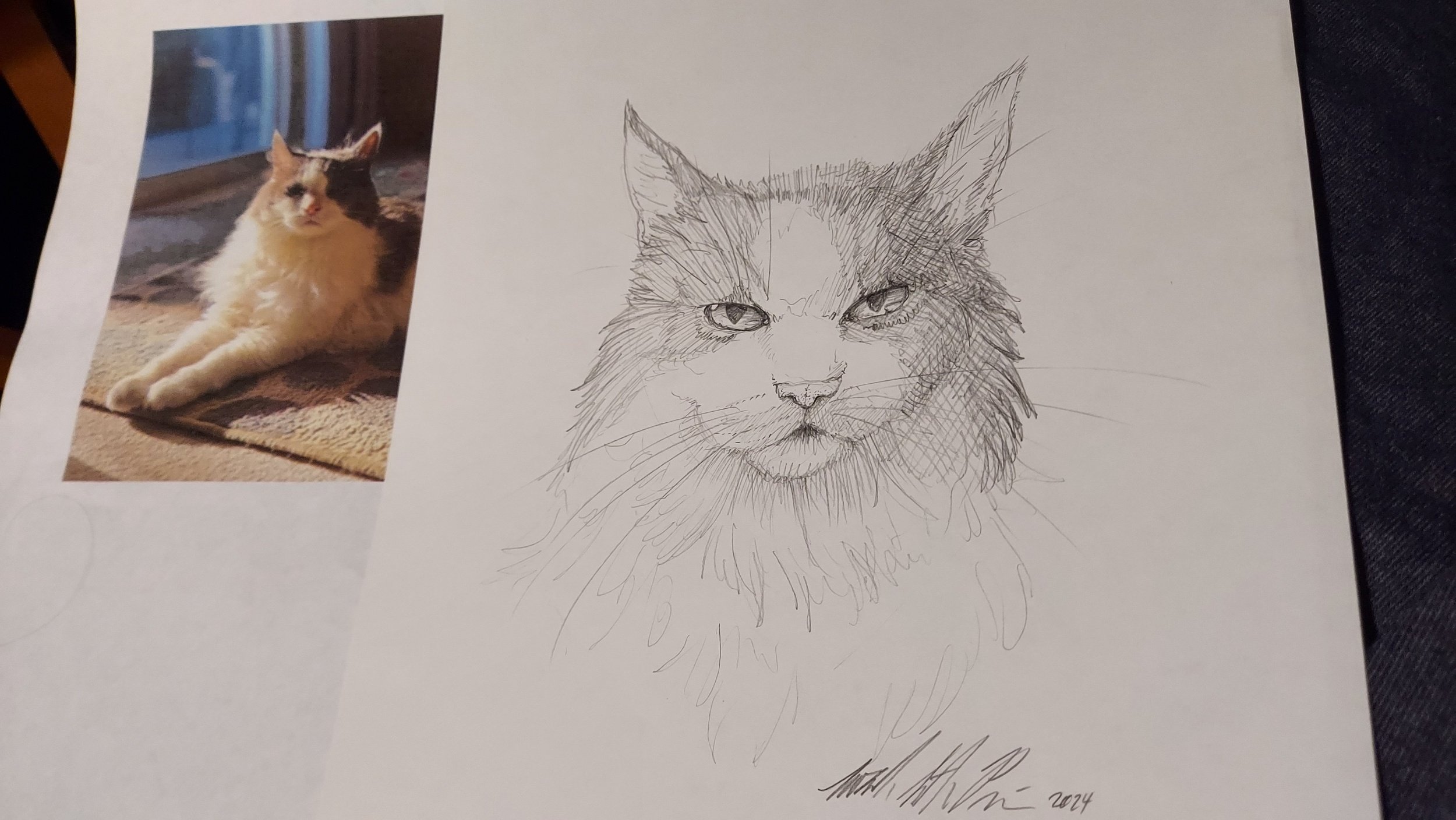 Cat for "Poorly Drawn Pets" hosted by WAIF (pencil 2024)