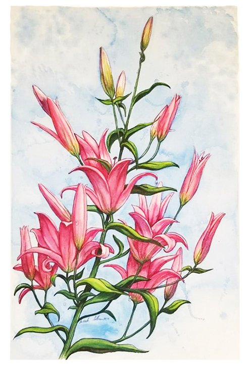 pinklilies.jpg
