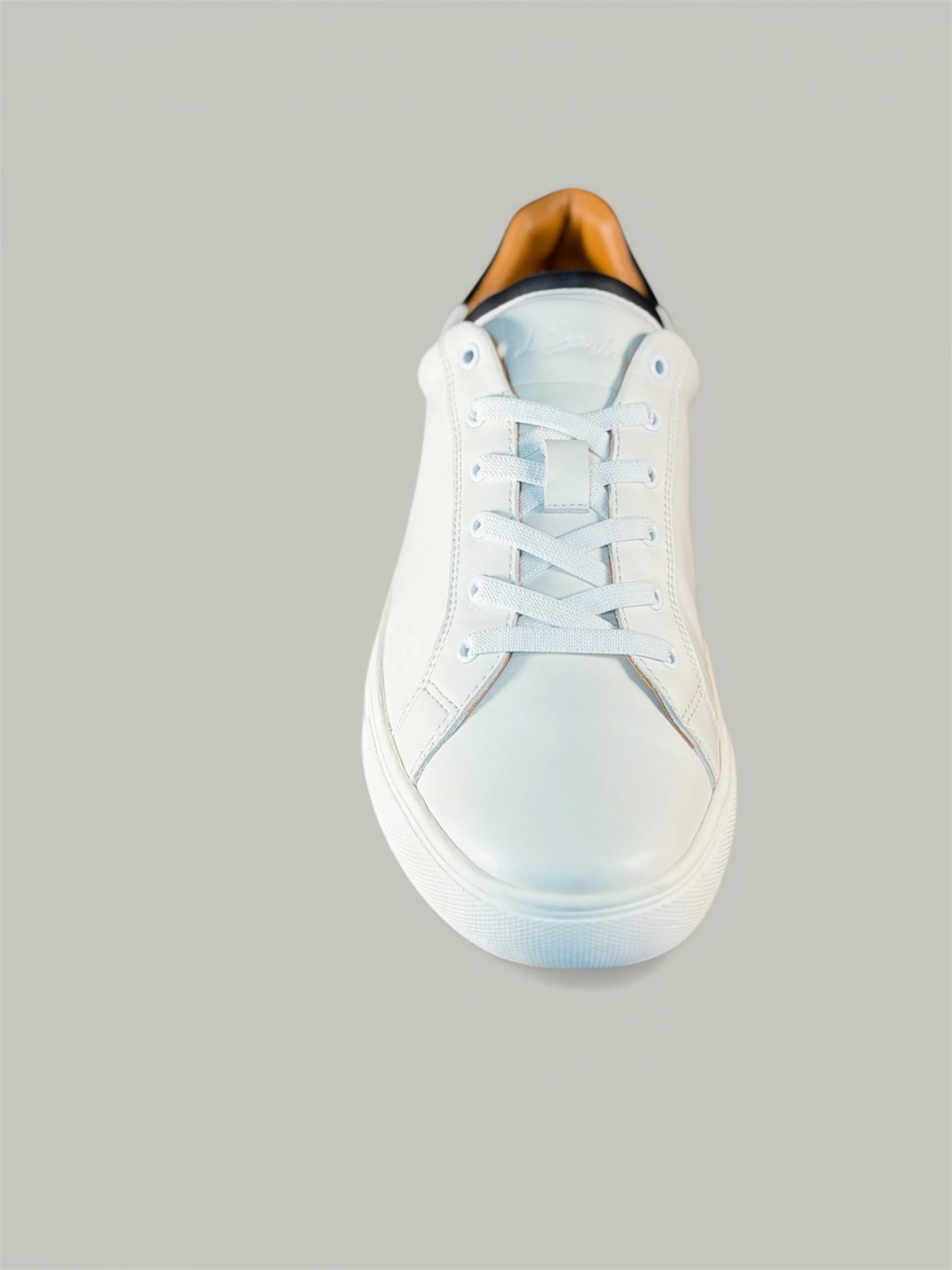 white front gray background.jpeg