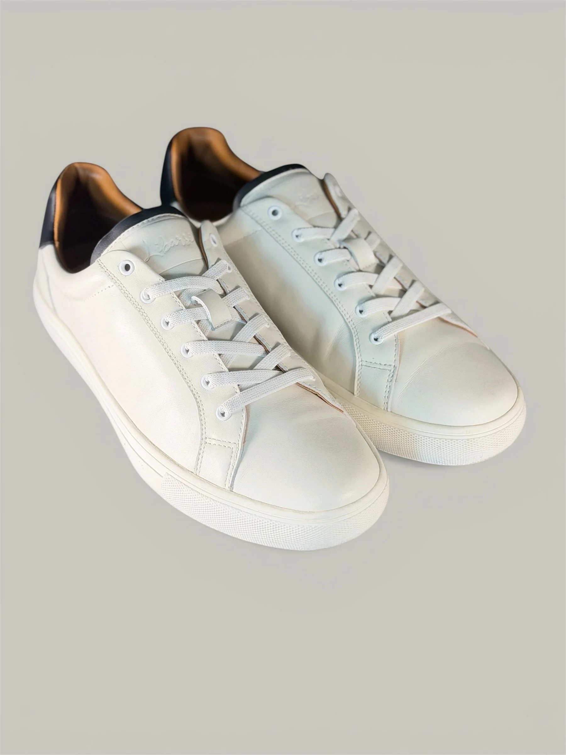 white double gray background.jpeg