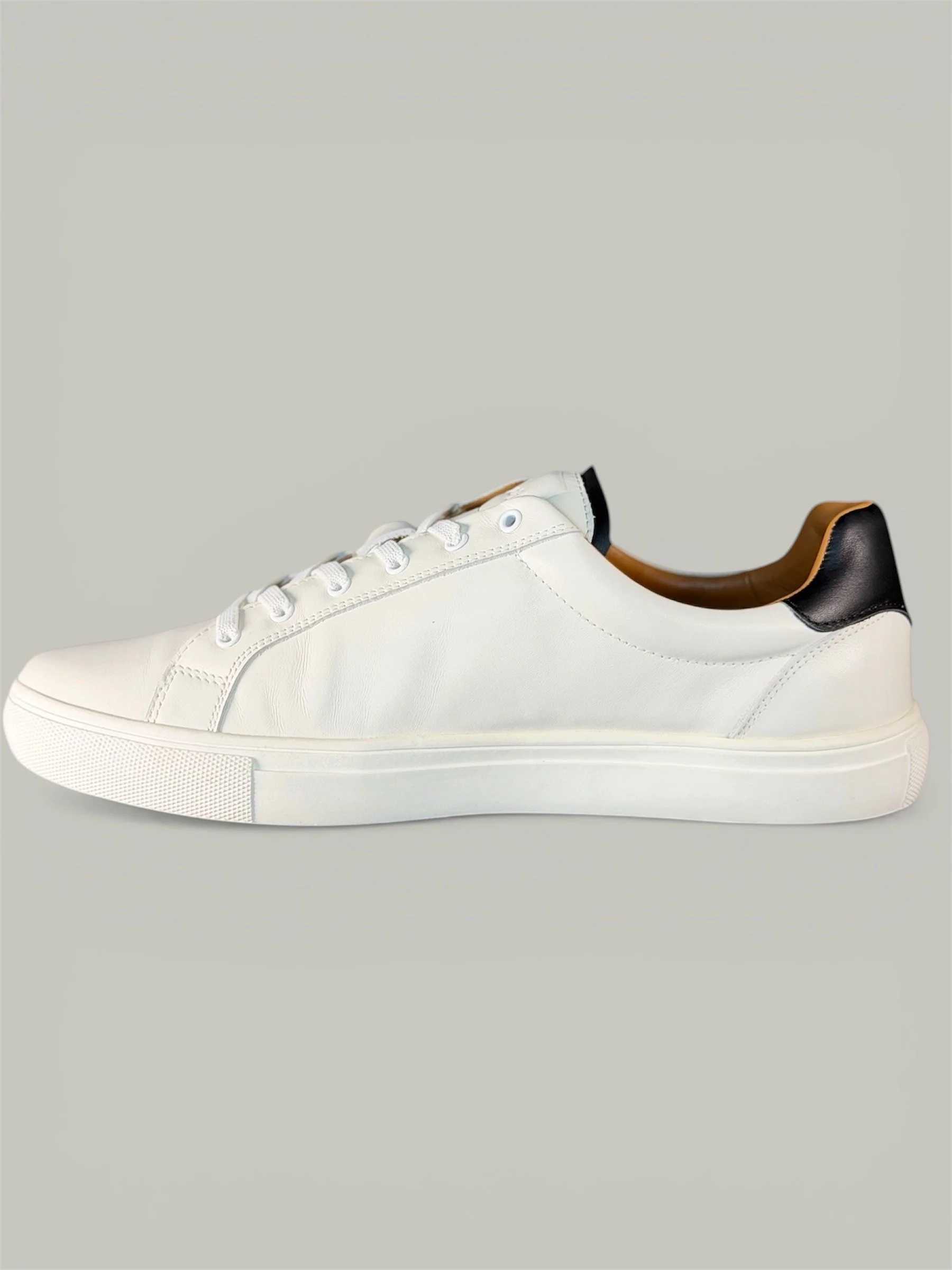 white left gray background.jpeg