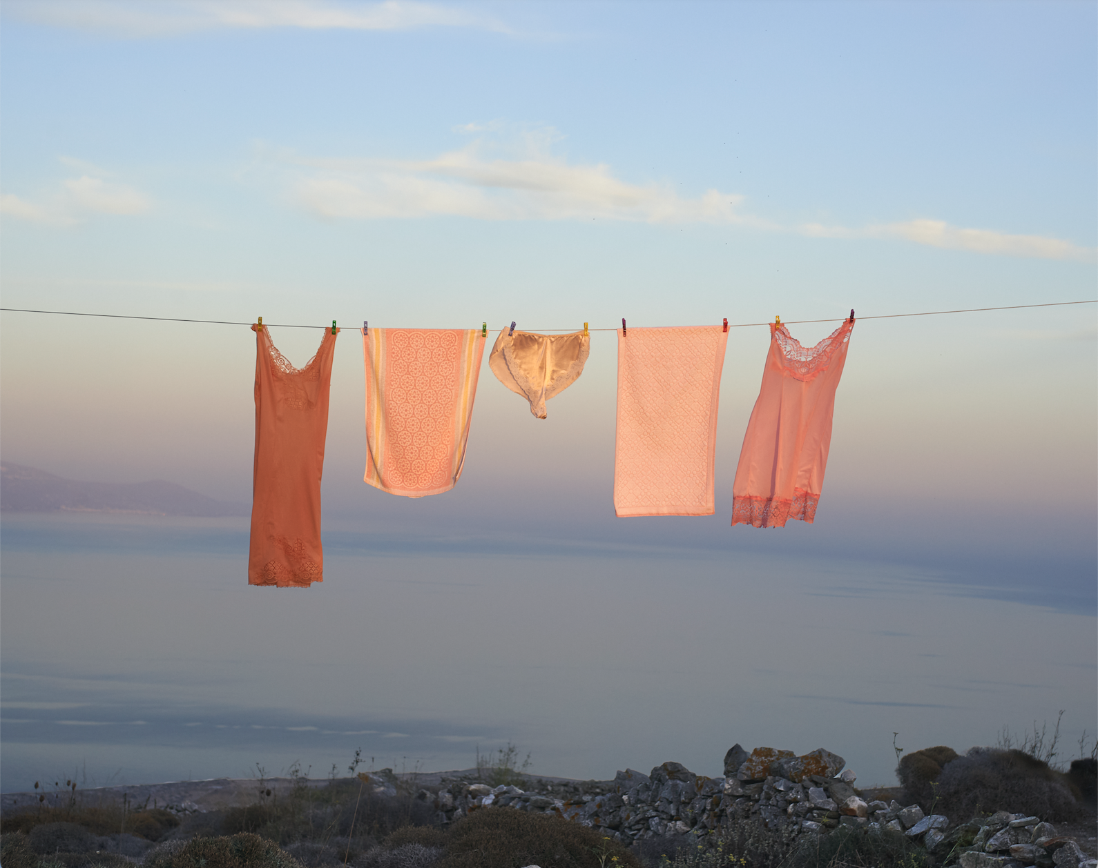 Screen Shot 2026-08-24 at 3.55.16 PM.png