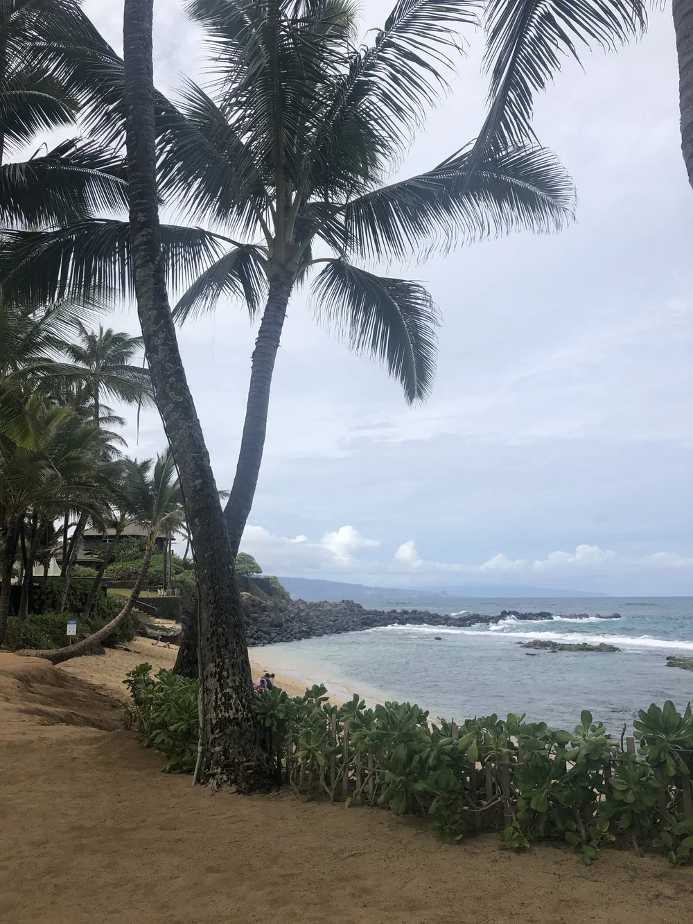 View from Mama's Fish House