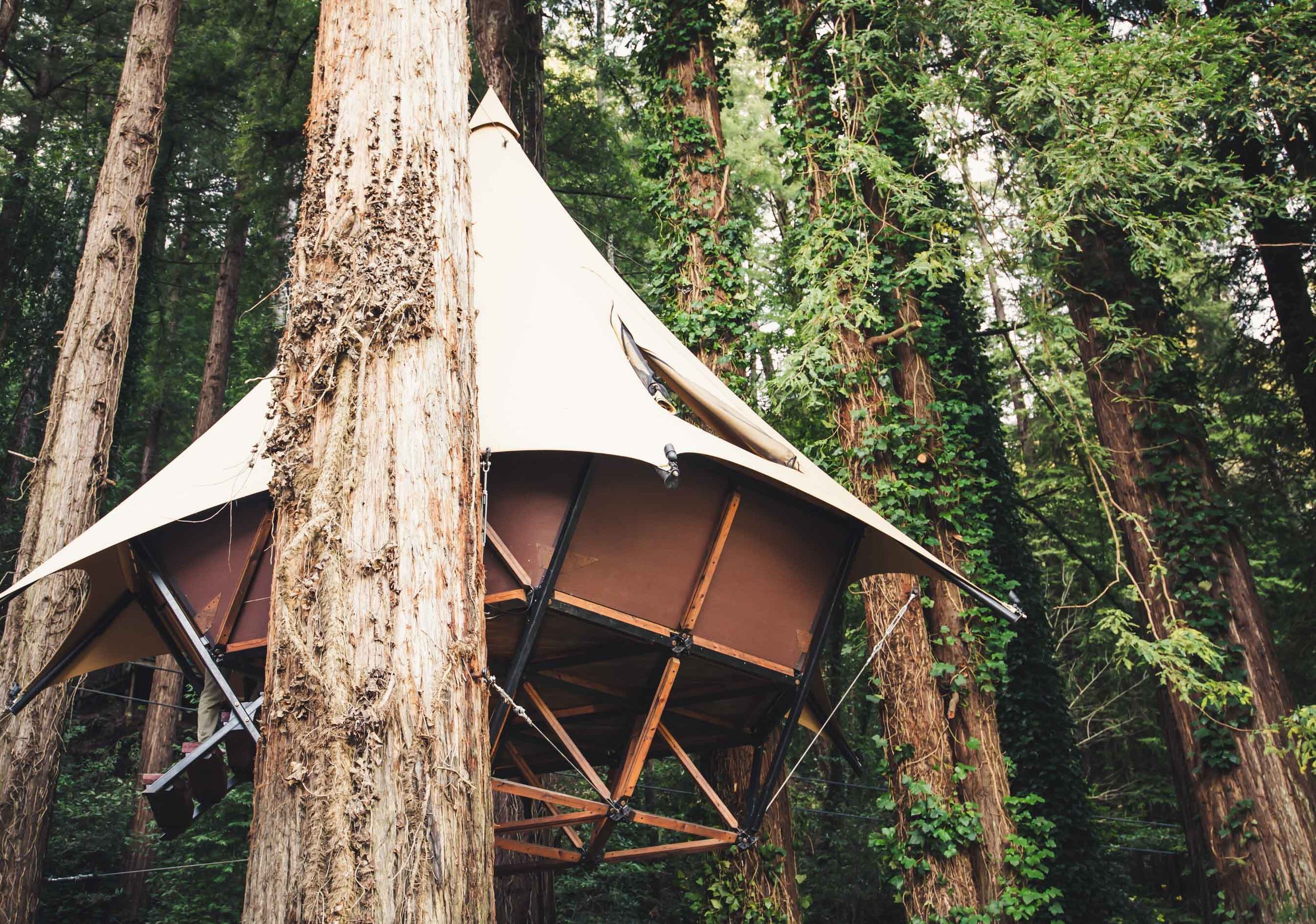 Treewalkers+O2+Treehouse+Glamping+Tent-treewalkers+-+132.jpg