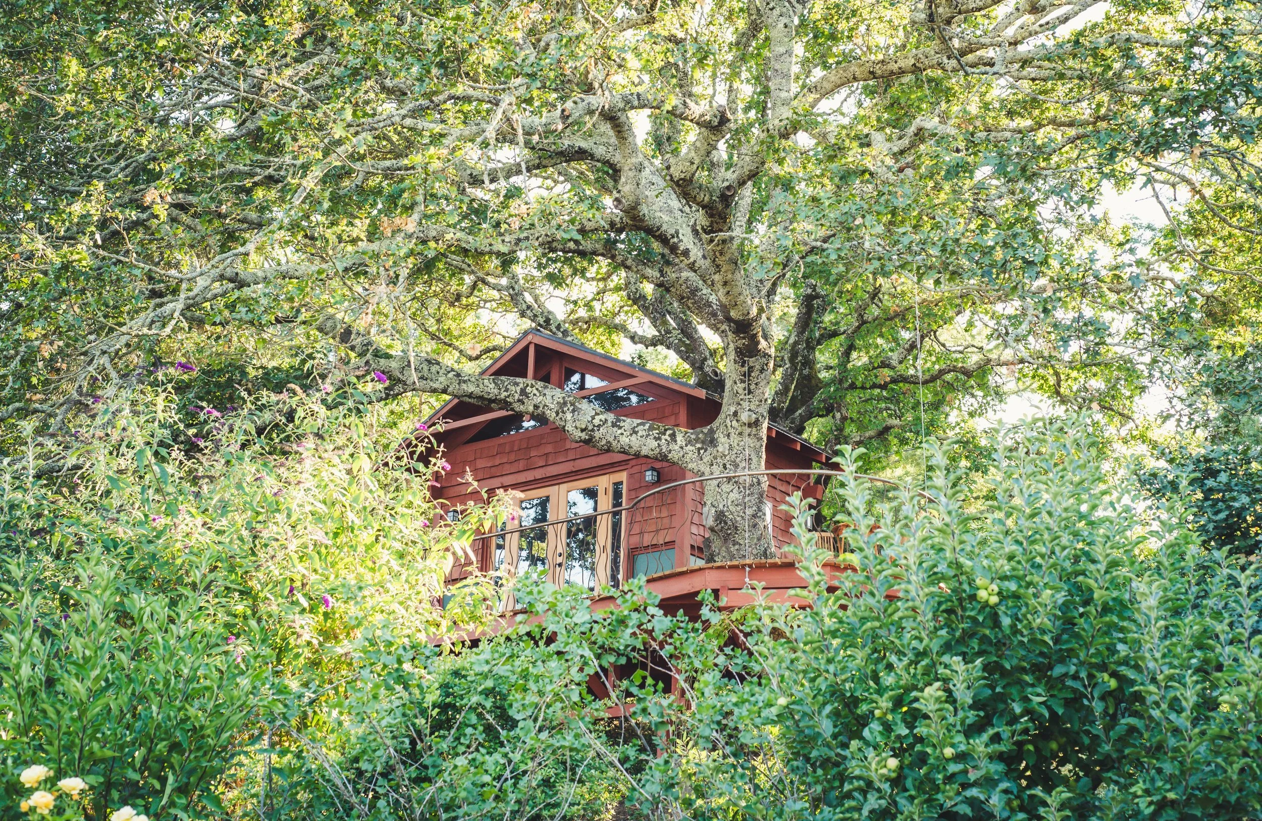 Kreiner-Sebastopol.jpg