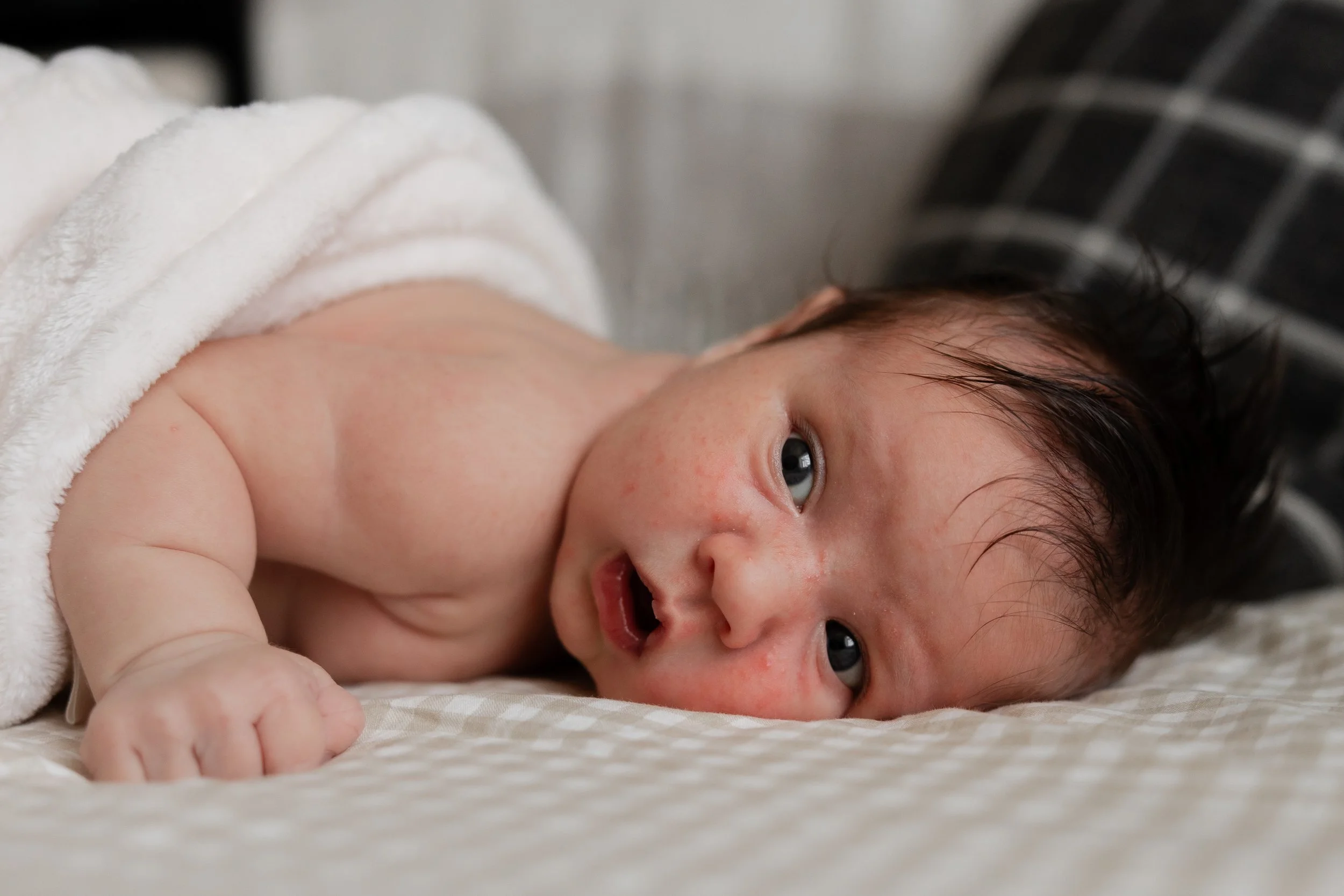 Newborn on couch during photography session