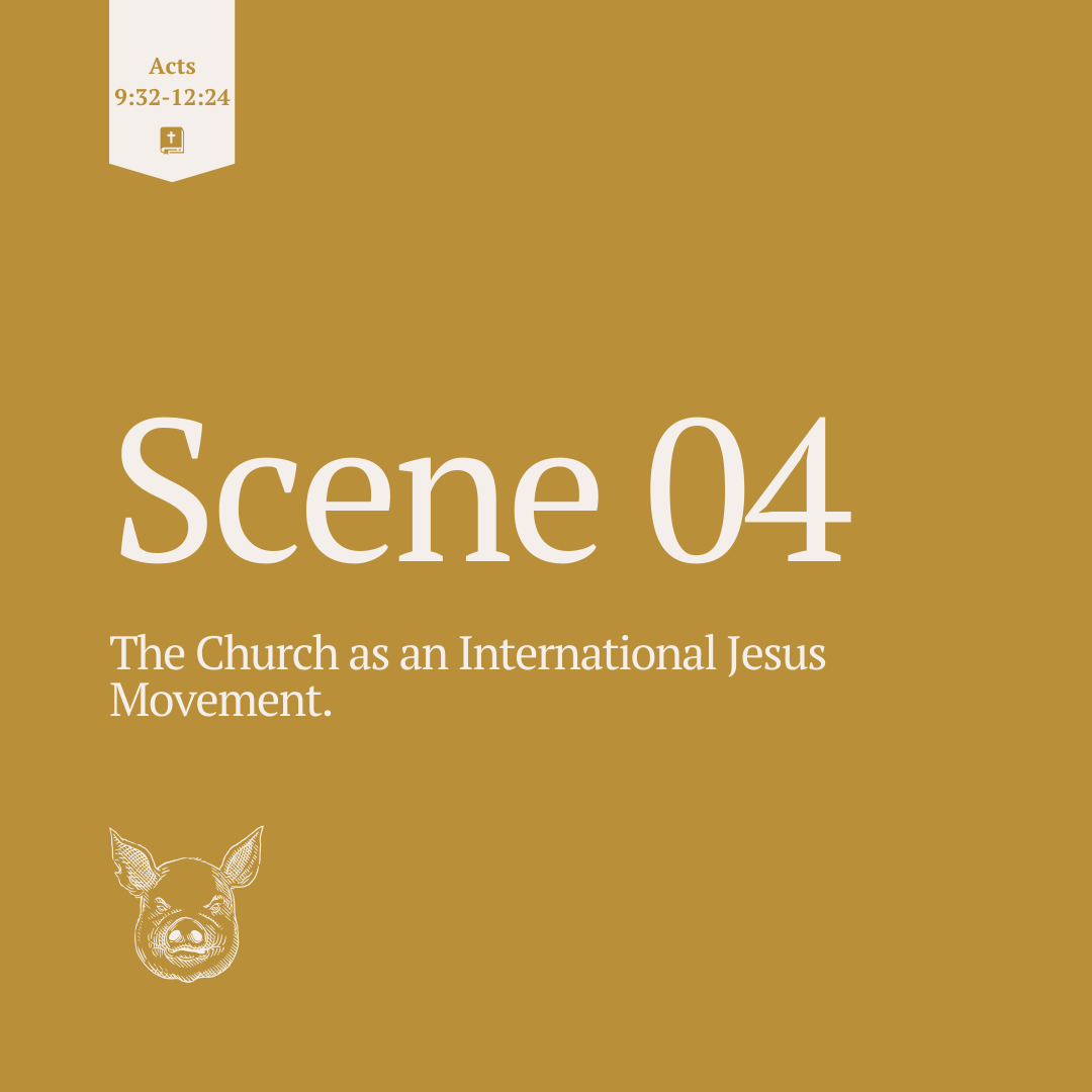 study guide overview-2.png