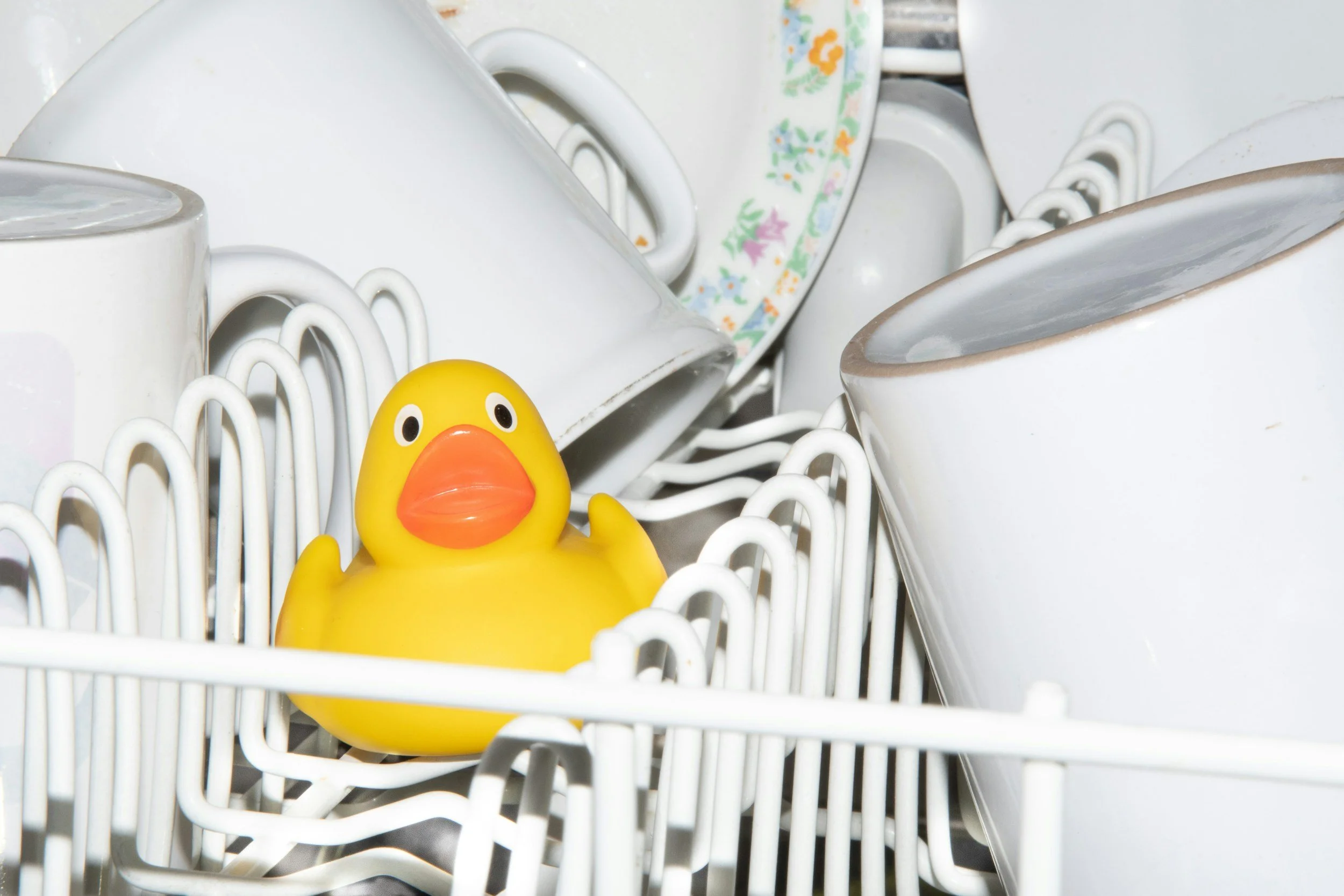 A yellow rubber duck with orange beak in a dishwasher among white dishes.