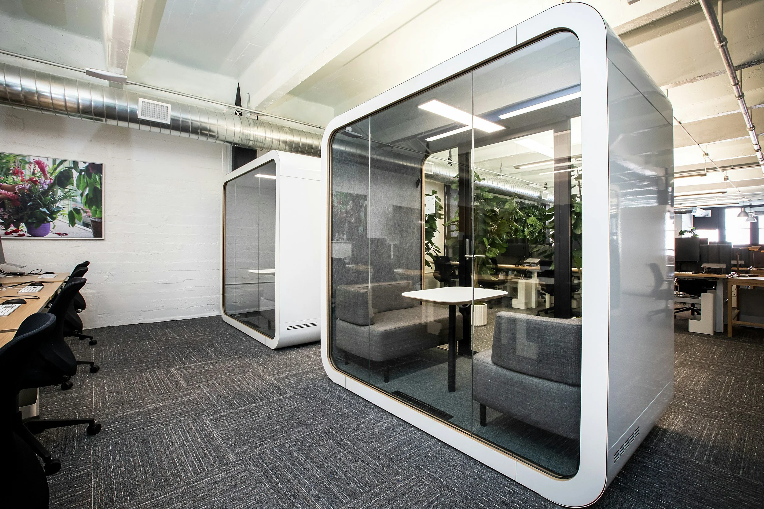 Modern office space with two small glass-walled meeting pods, office chairs, desks with computers, and green plants in the background.