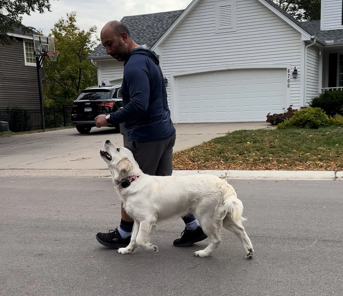 A man walking a golden retriever dog on a residential street with a house, garage, and backyard in the background.