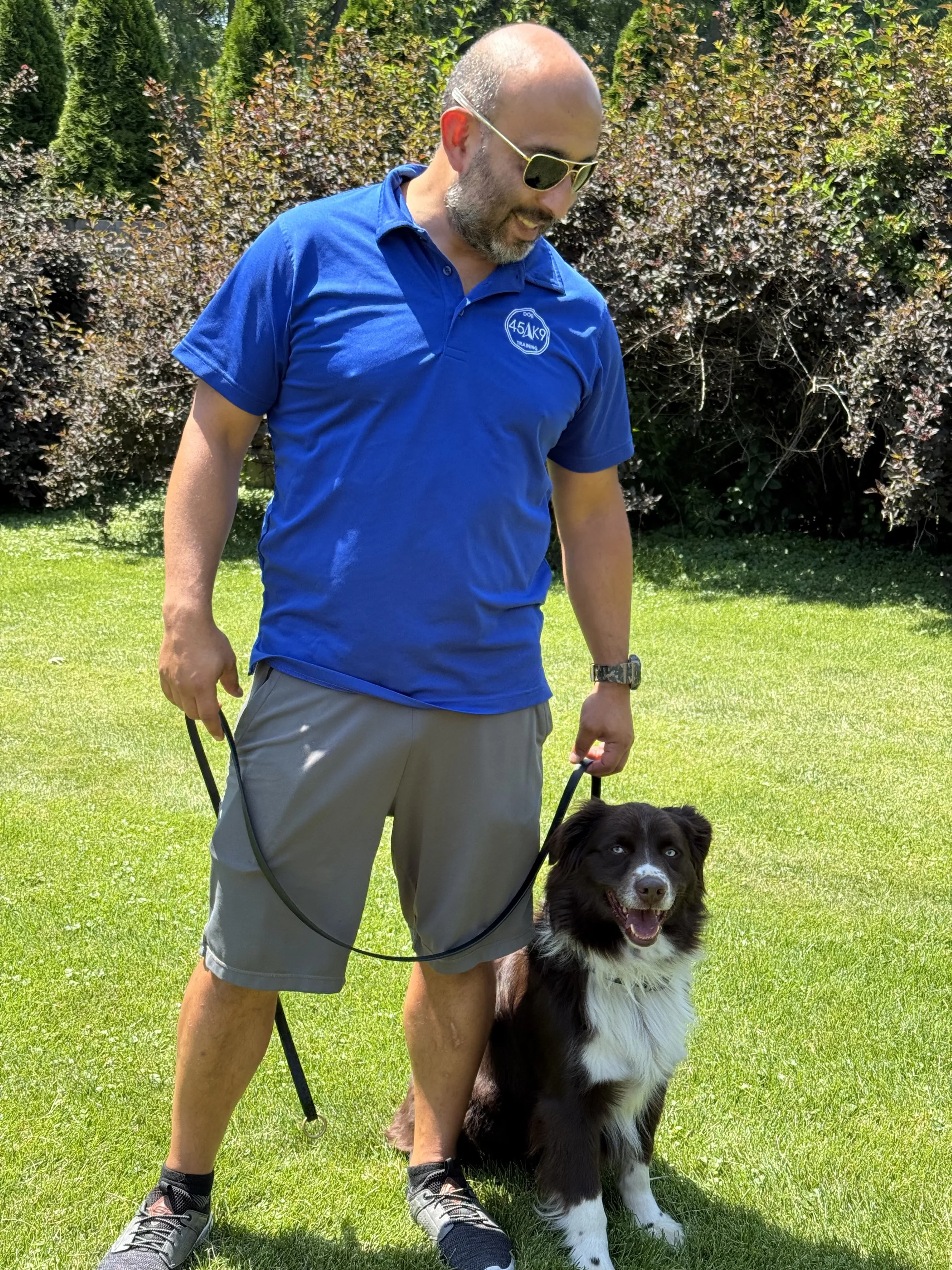 A man with glasses and a beard, wearing a blue polo shirt and gray shorts, is standing on a grassy lawn holding a leash attached to a black and white Border Collie dog. The man is smiling and looking down at the dog, who is sitting and also looking ahead, on a sunny day with bushes and trees in the background.
