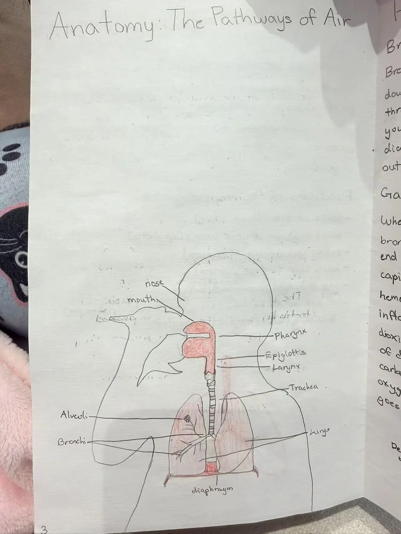 Weixin Image_20260223160643_1135_41.jpg