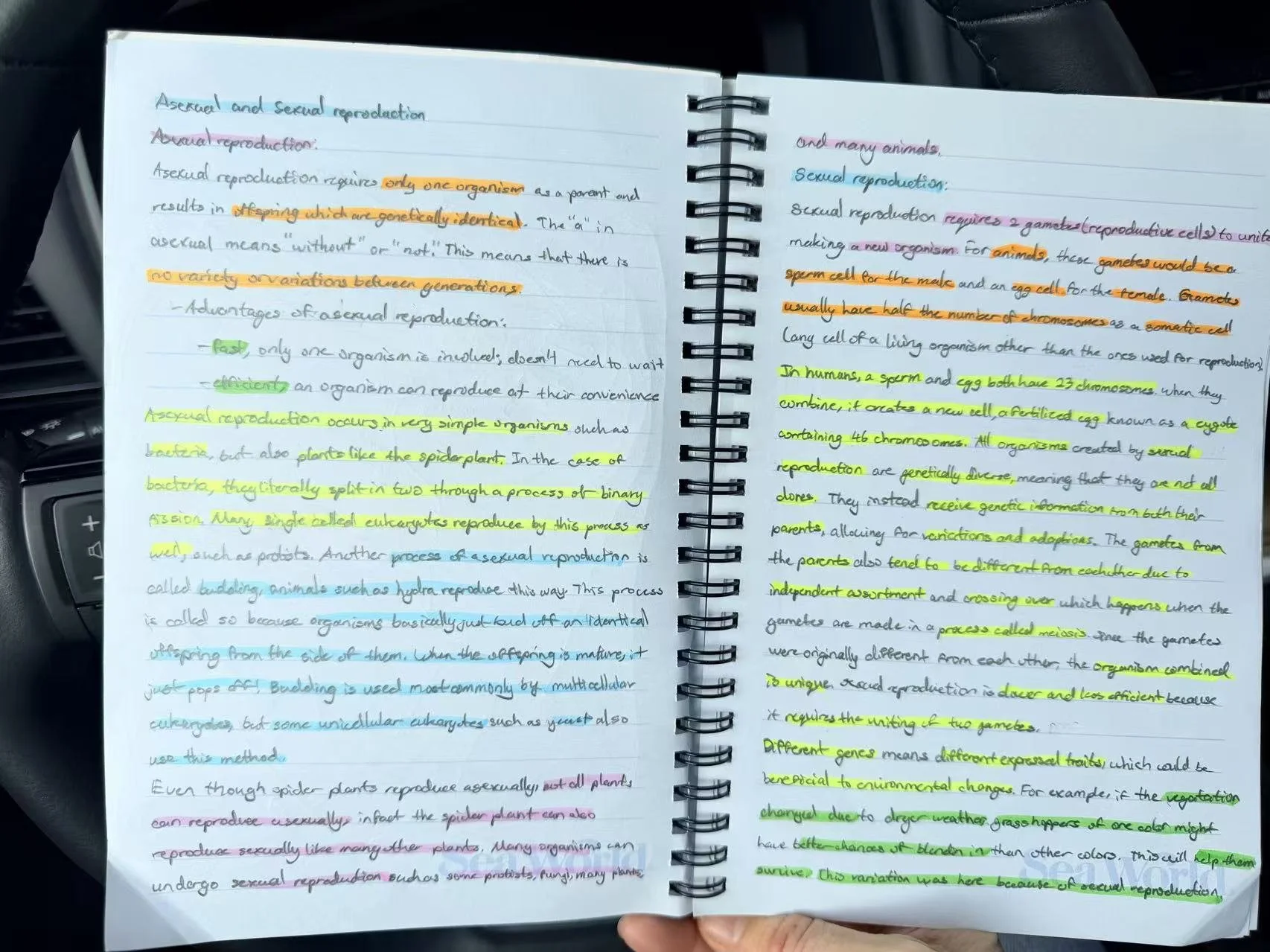 Weixin Image_20260223160529_1128_41.jpg