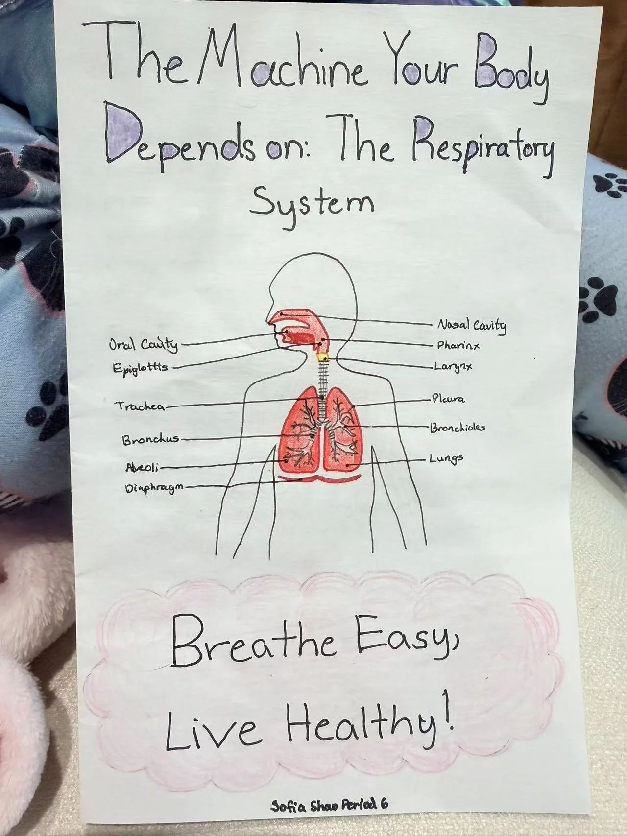 Weixin Image_20260223160640_1133_41.jpg